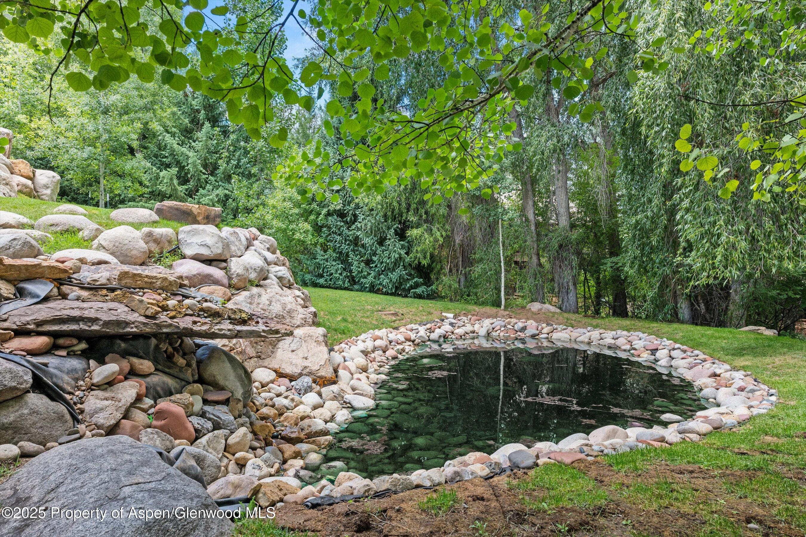 971 Ute Avenue, Aspen, CO 81611 - Photo 43