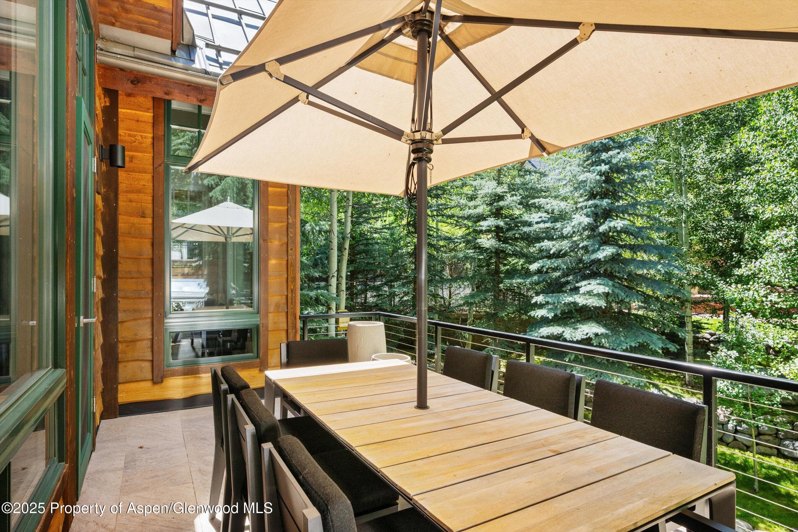 971 Ute Avenue, Aspen, CO 81611 - Photo 38