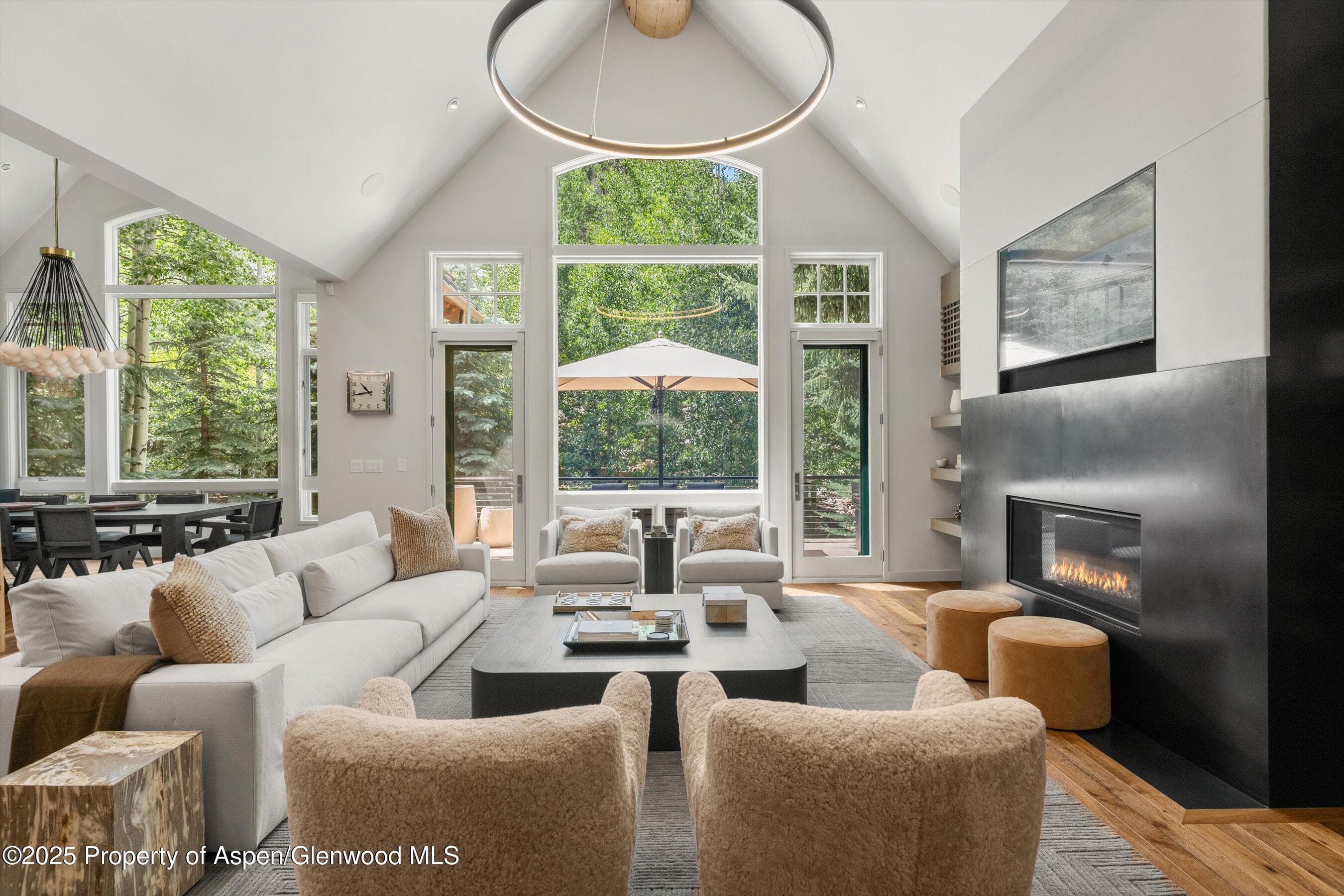 971 Ute Avenue, Aspen, CO 81611 - Photo 3