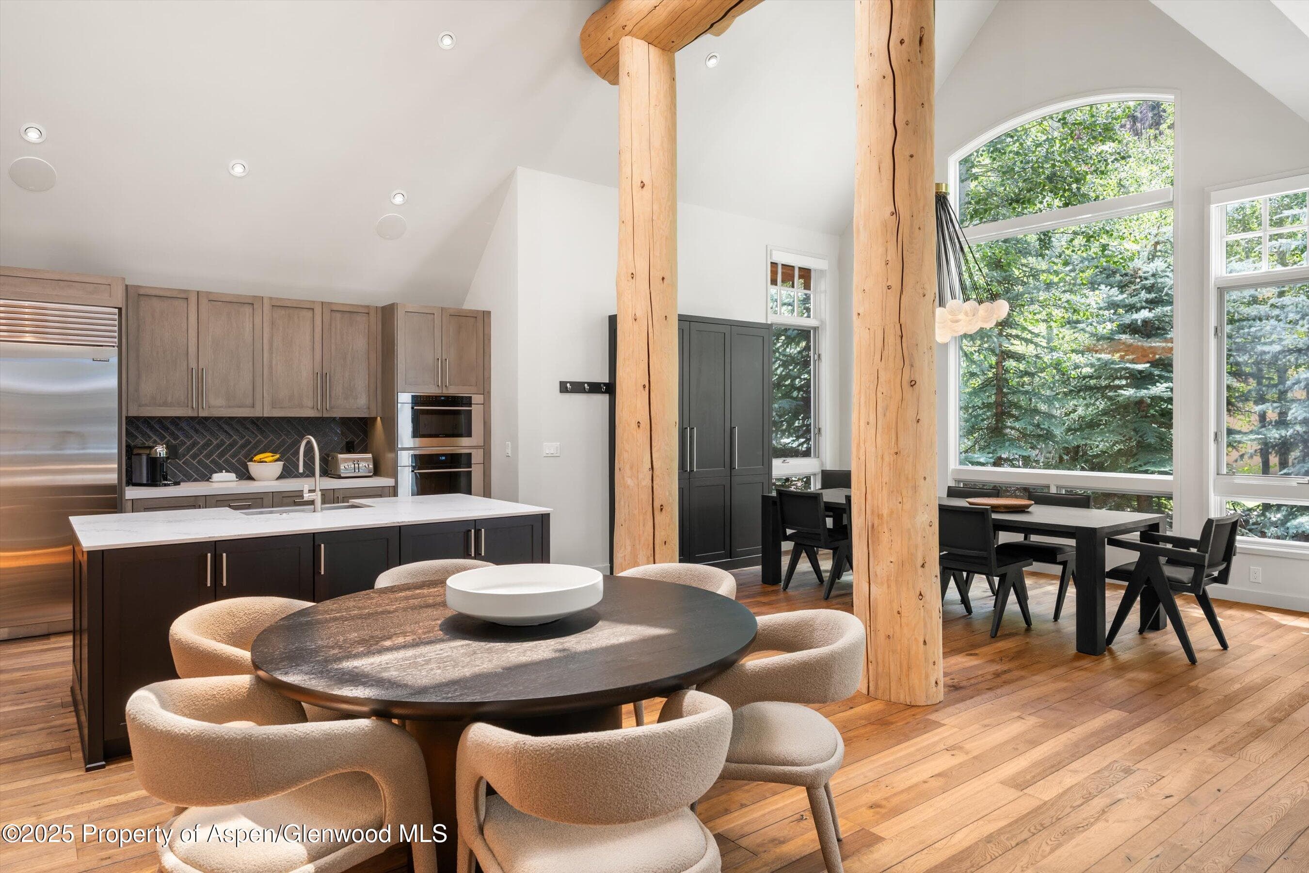 971 Ute Avenue, Aspen, CO 81611 - Photo 8