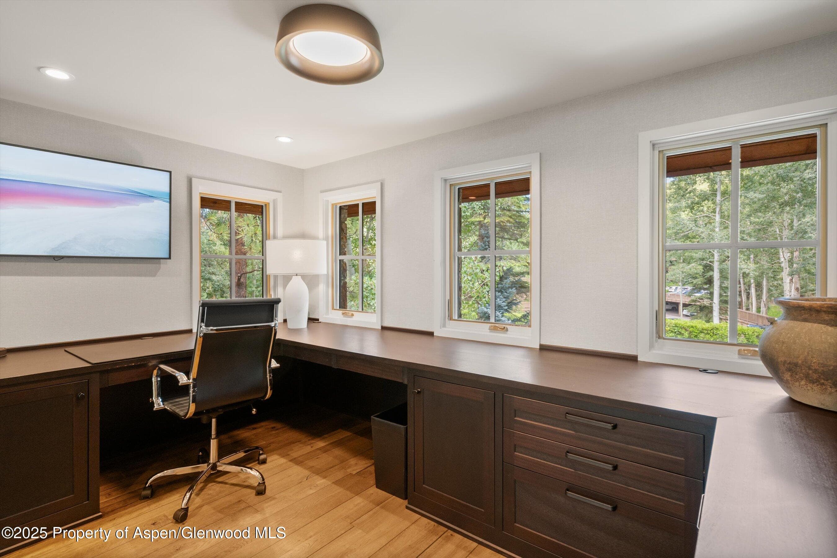 971 Ute Avenue, Aspen, CO 81611 - Photo 15
