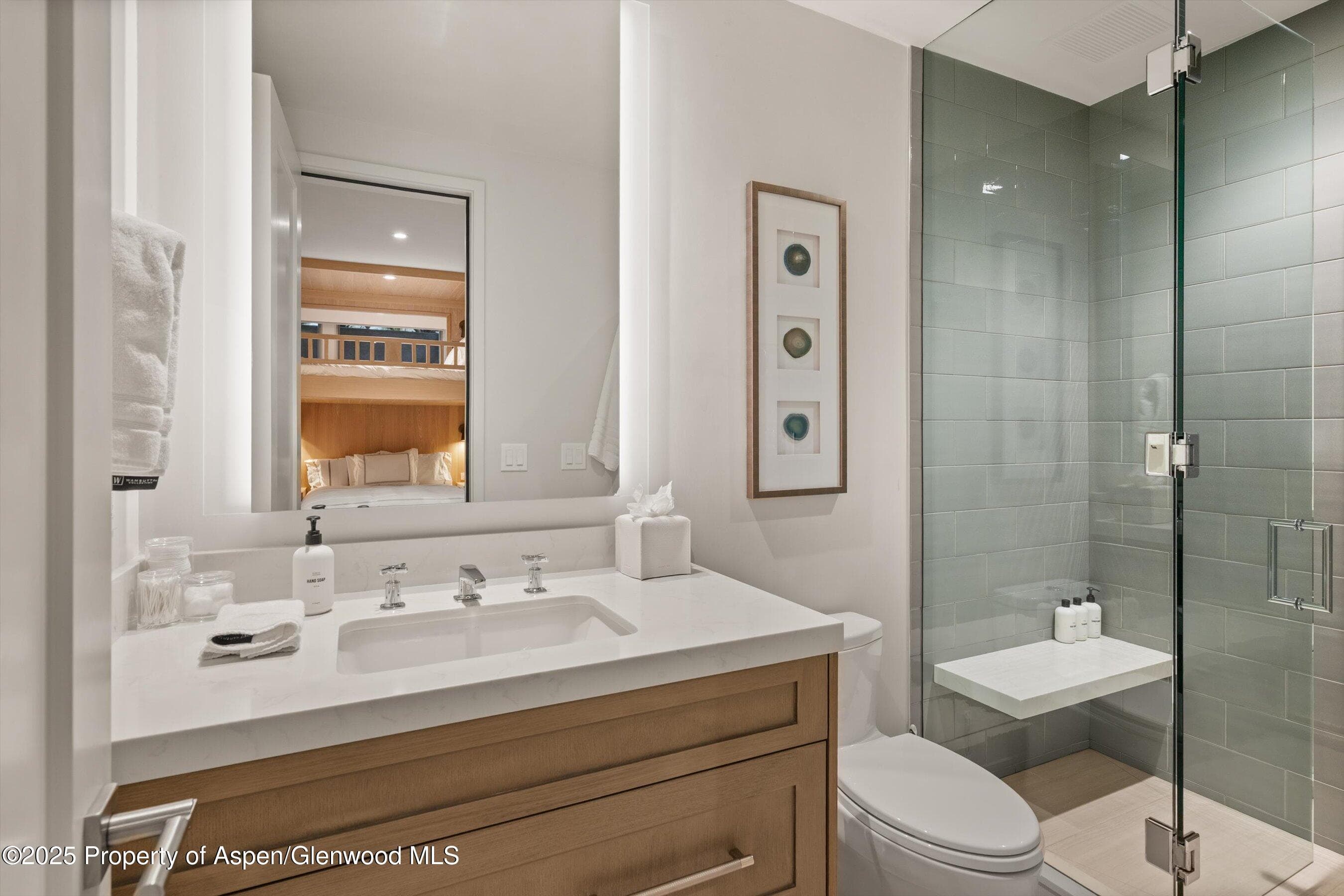 971 Ute Avenue, Aspen, CO 81611 - Photo 32