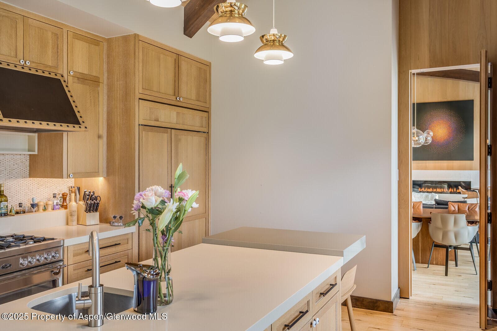 511+563 Edgewood Lane, Snowmass Village, CO 81615 - Photo 28