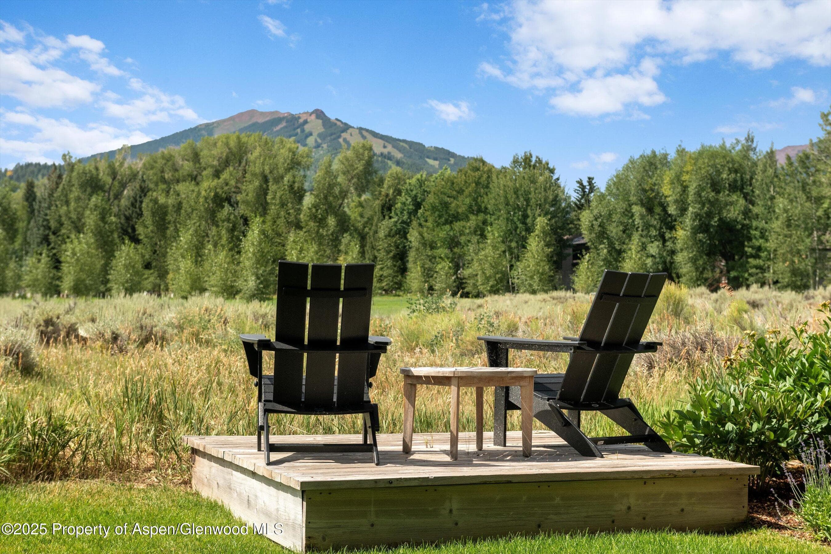 75 Overlook Drive, Aspen, CO 81611 - Photo 25