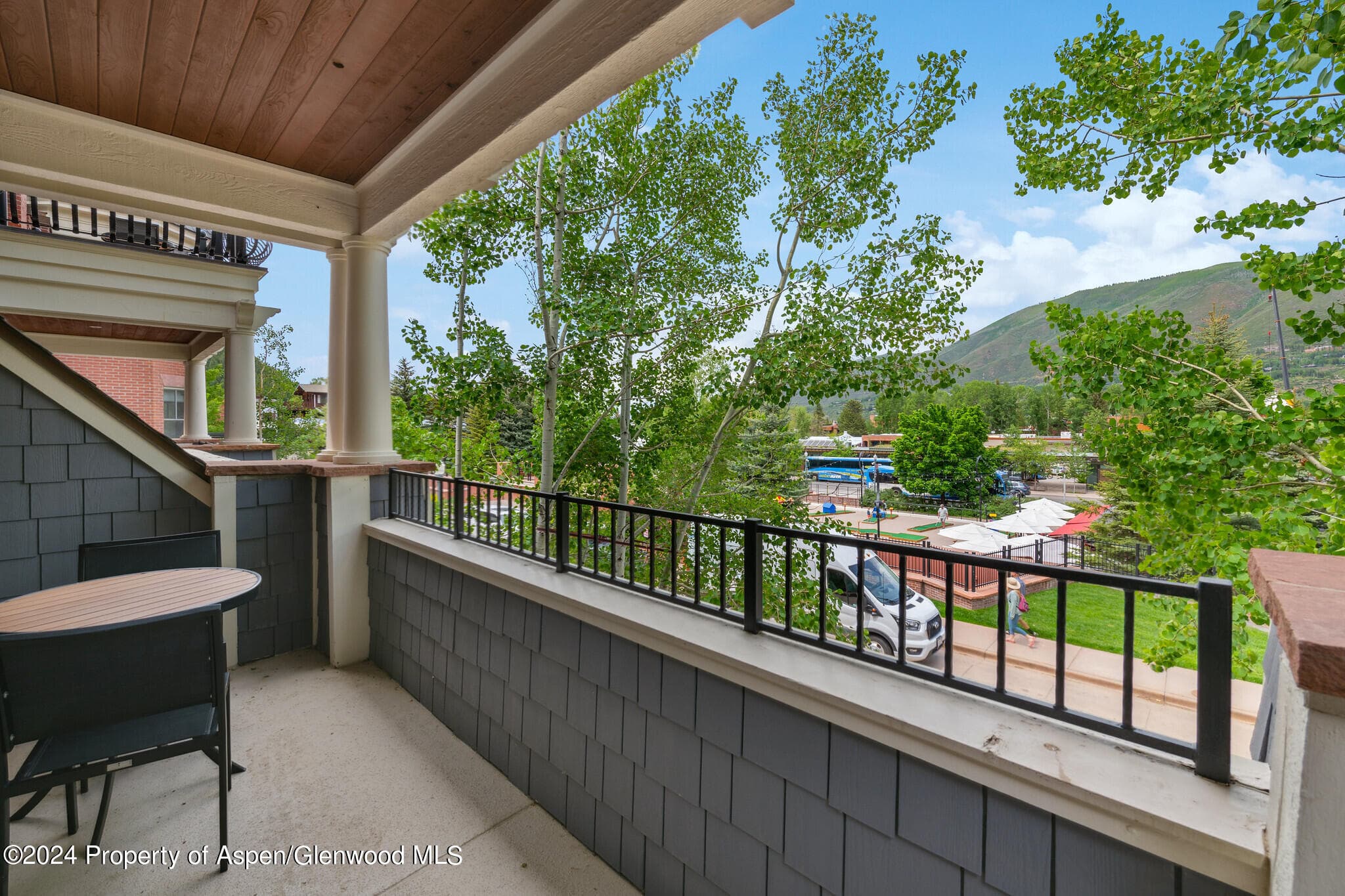 415 E Dean St, Unit 17, Weeks 5&6 Street, Aspen, CO 81611 - Photo 15
