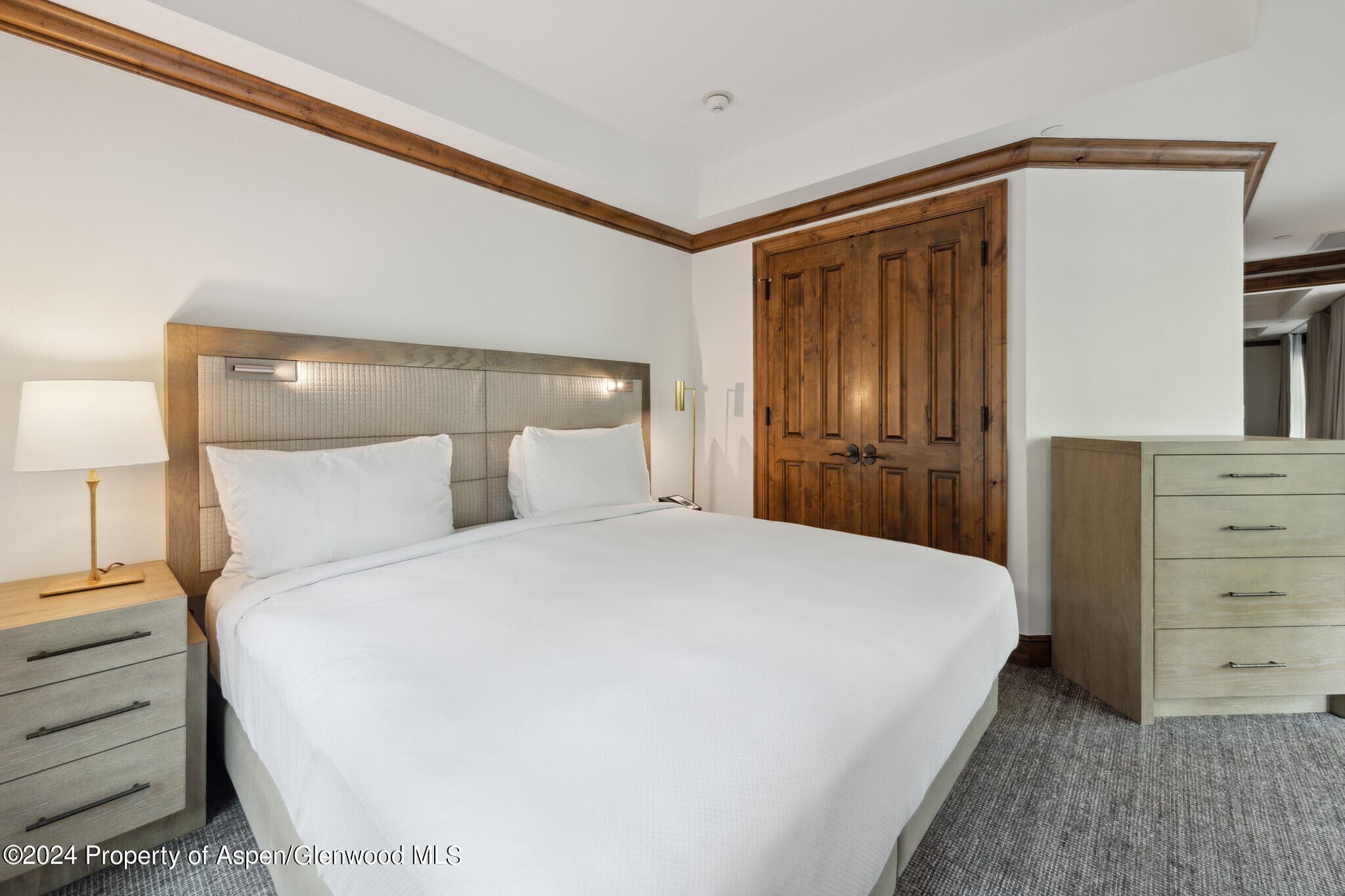 415 E Dean St, Unit 17, Weeks 5&6 Street, Aspen, CO 81611 - Photo 16