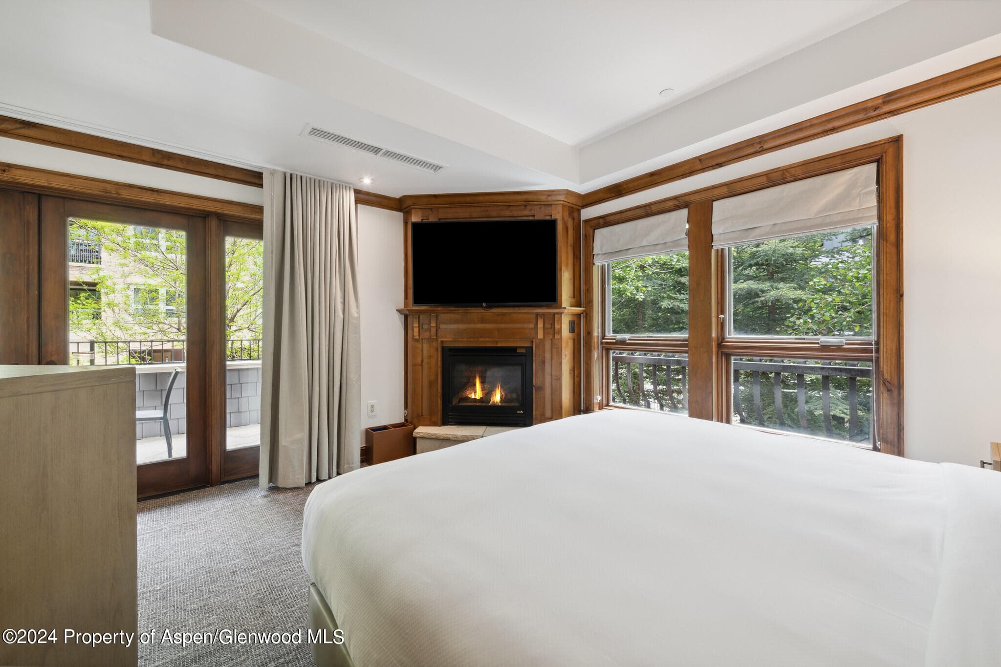 415 E Dean St, Unit 17, Weeks 5&6 Street, Aspen, CO 81611 - Photo 18
