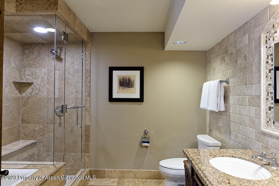 415 E Dean St, Unit 17, Weeks 5&6 Street, Aspen, CO 81611 - Photo 19