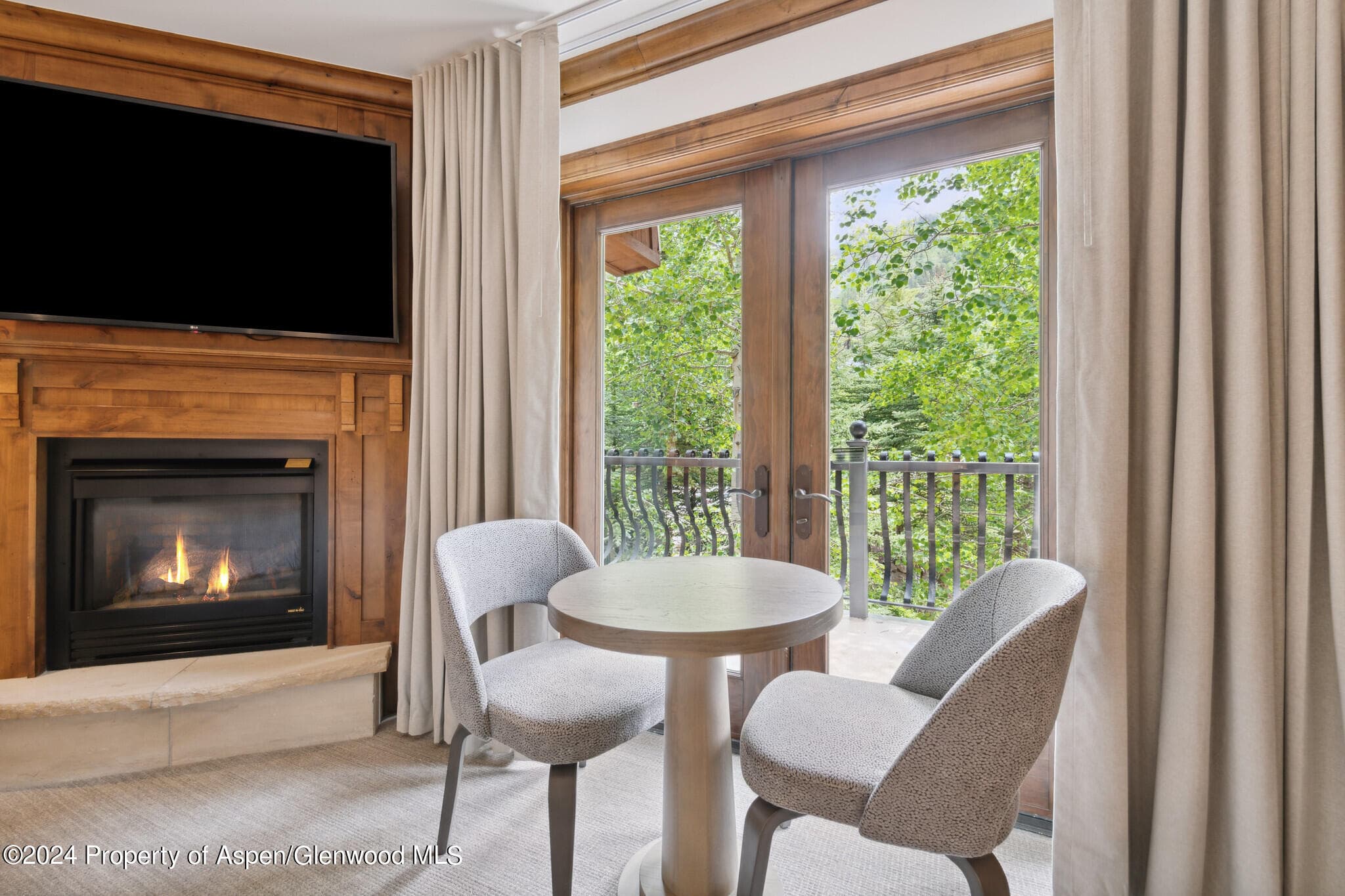 415 E Dean St, Unit 17, Weeks 5&6 Street, Aspen, CO 81611 - Photo 23