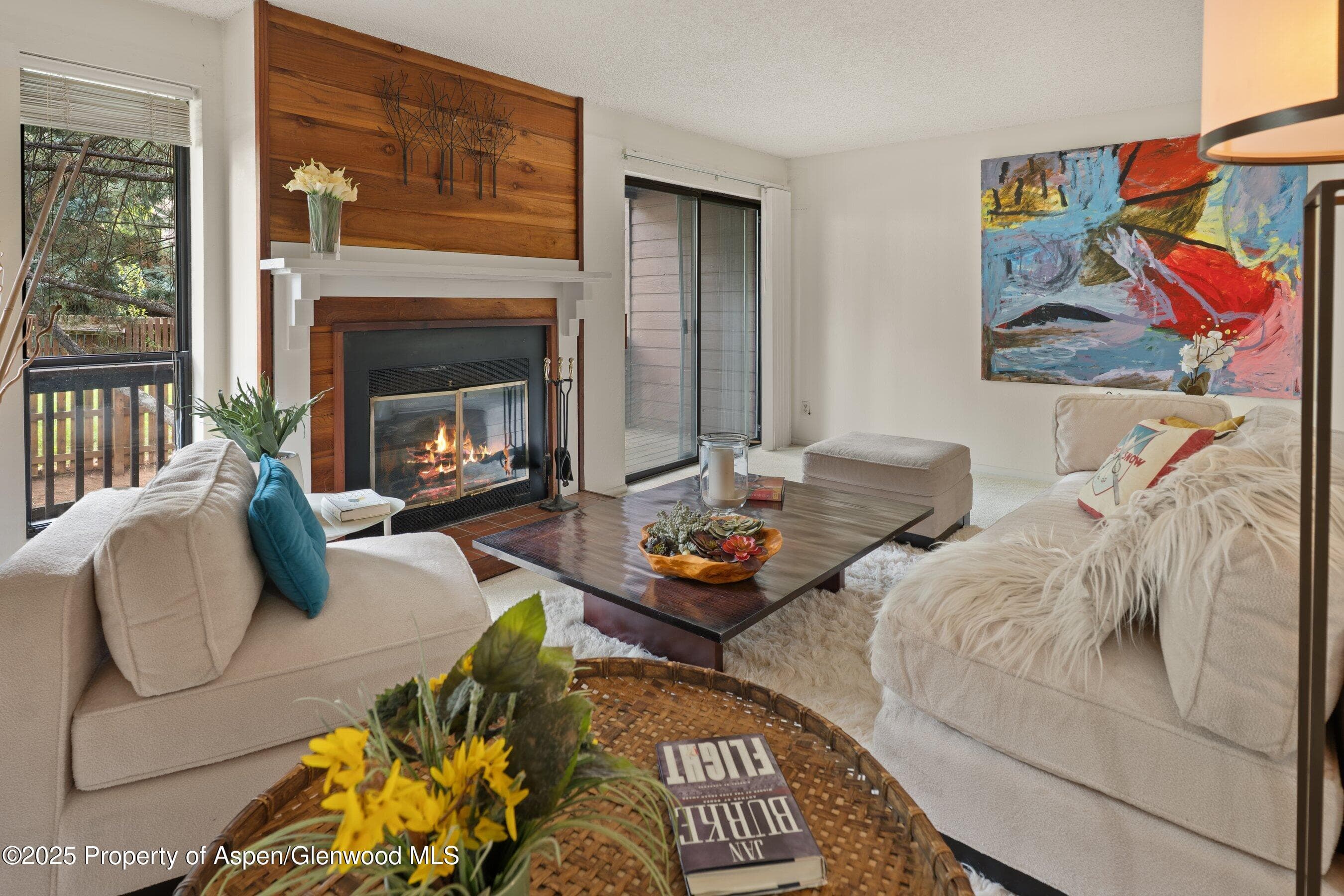3800 Old Lodge Road A4, Glenwood Springs, CO 81601 - Photo 1