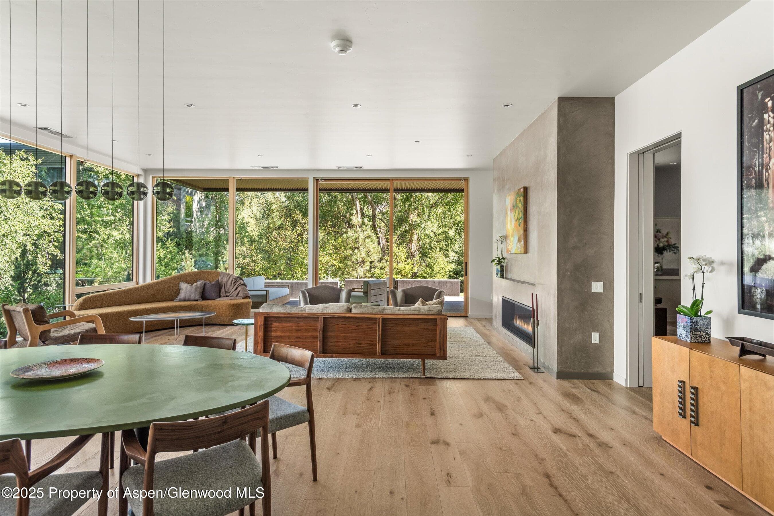 103 Willow Road 204, Basalt, CO 81621 - Photo 4