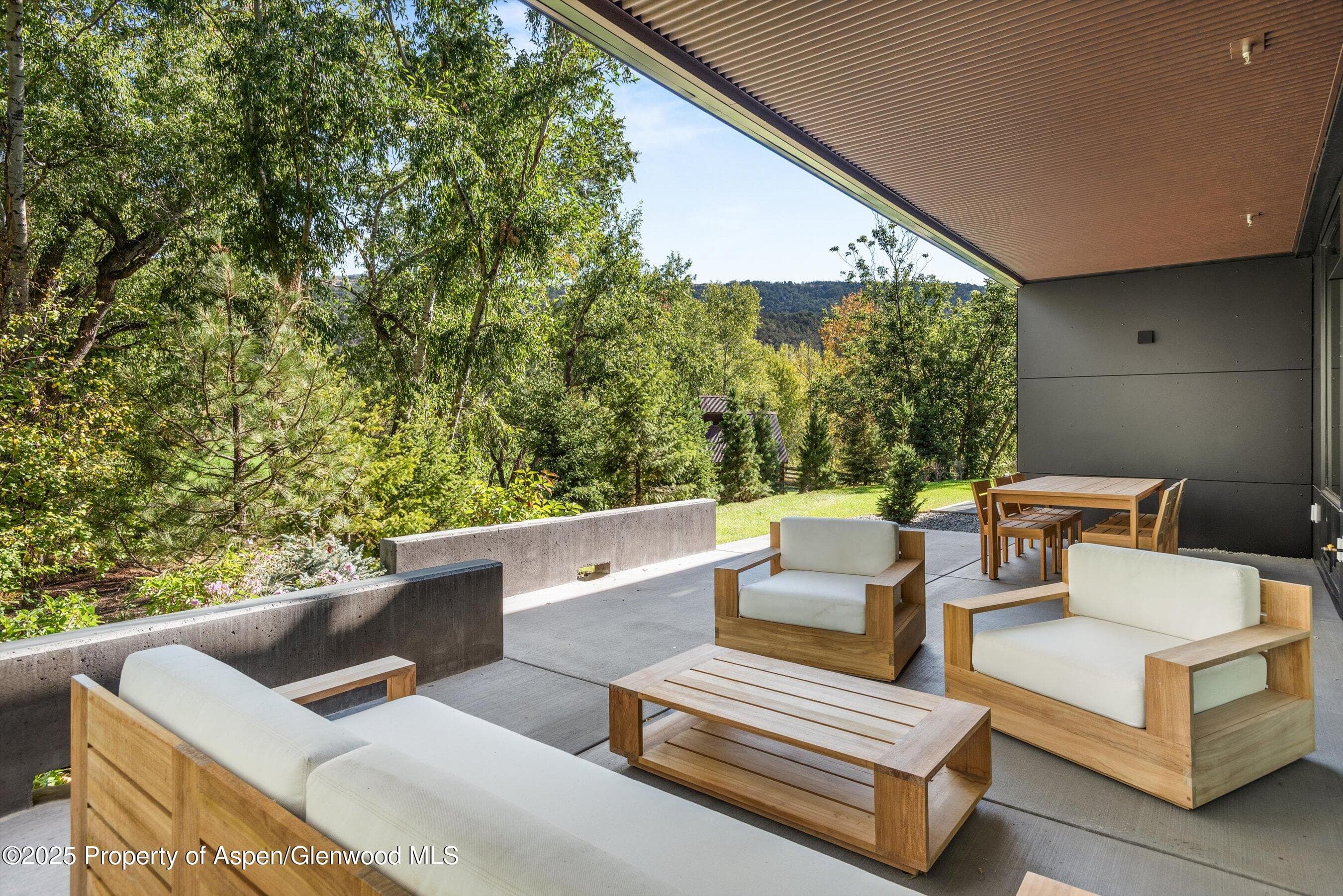 103 Willow Road 204, Basalt, CO 81621 - Photo 12