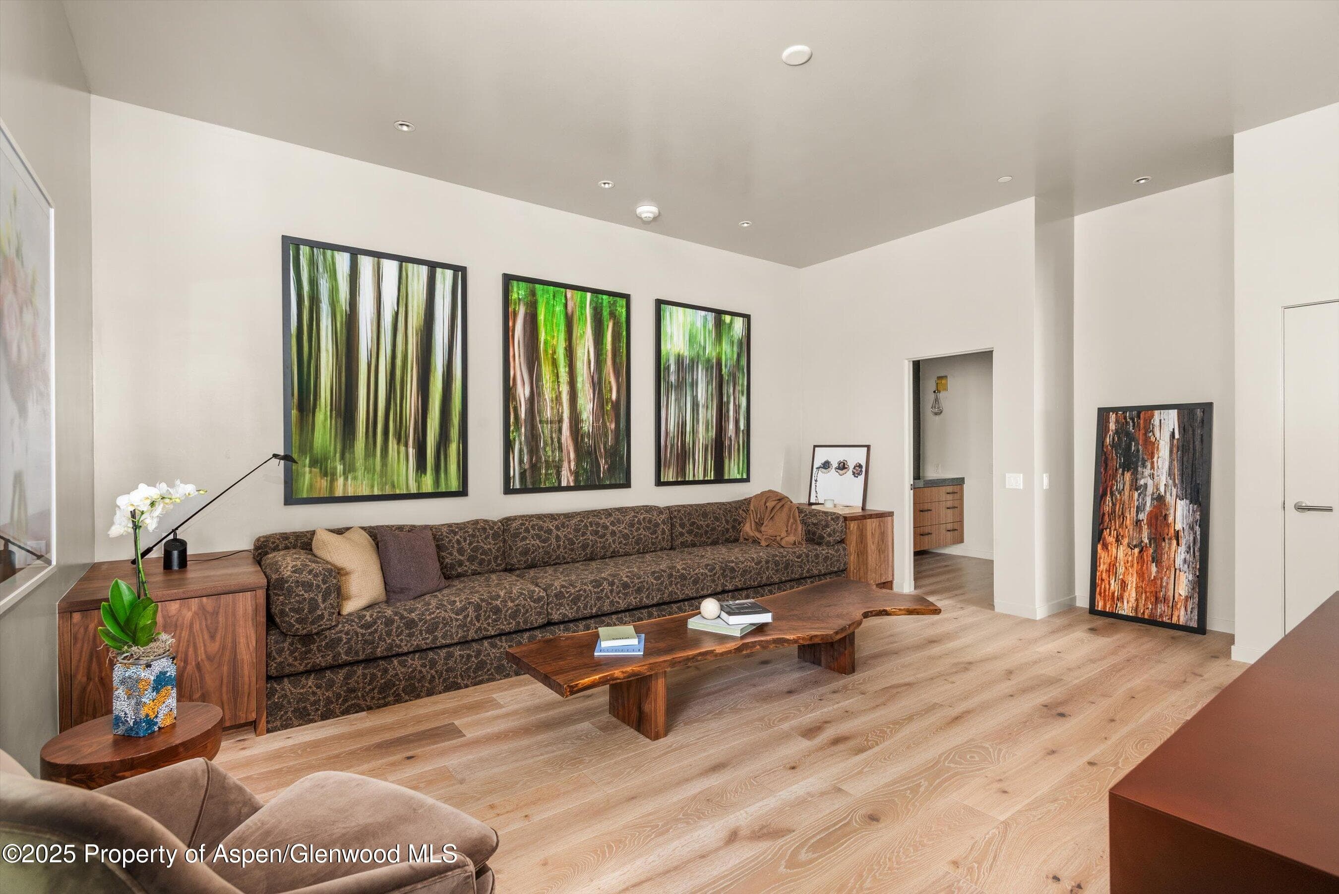 103 Willow Road 204, Basalt, CO 81621 - Photo 8