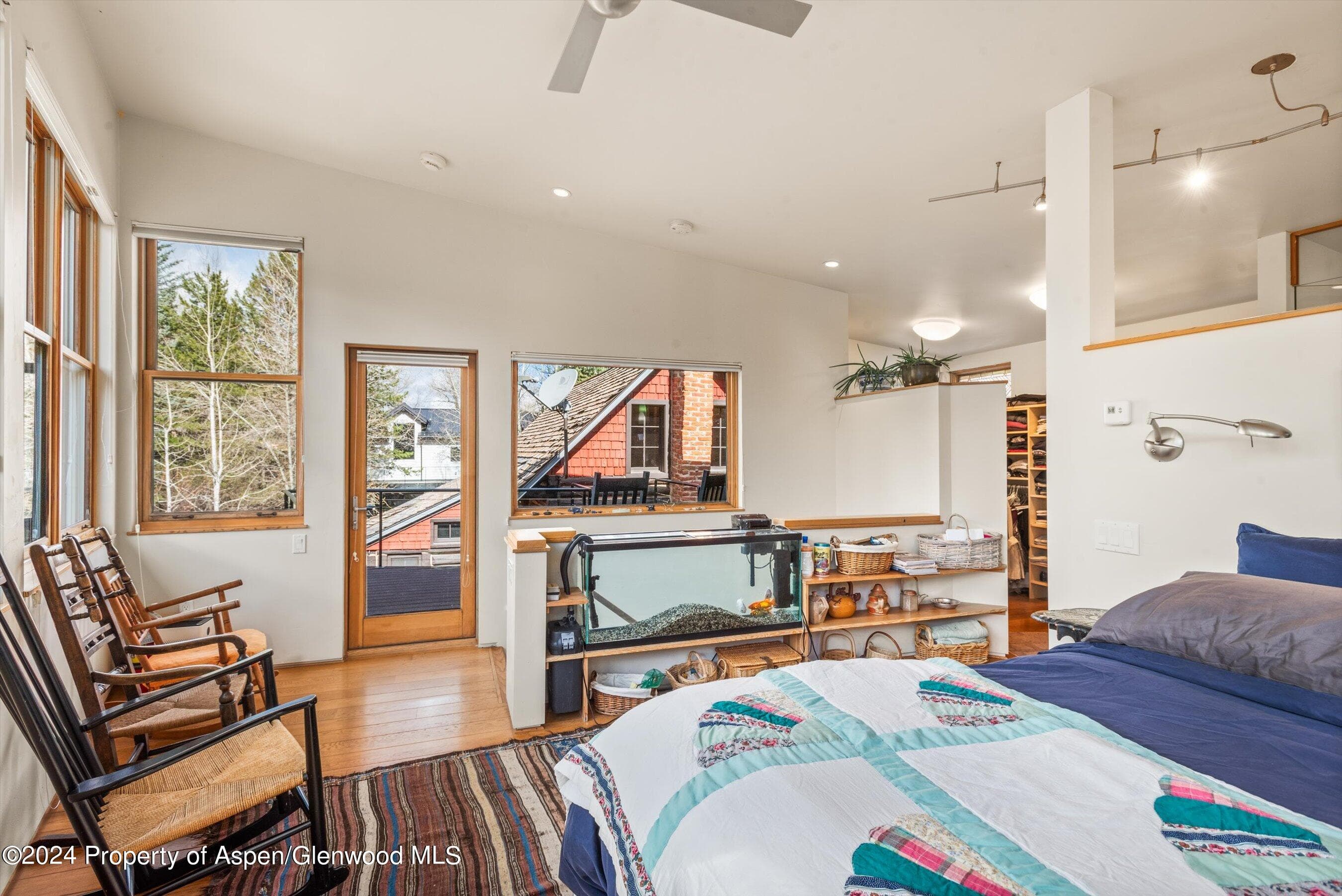 308 Park Avenue, Aspen, CO 81611 - Photo 9