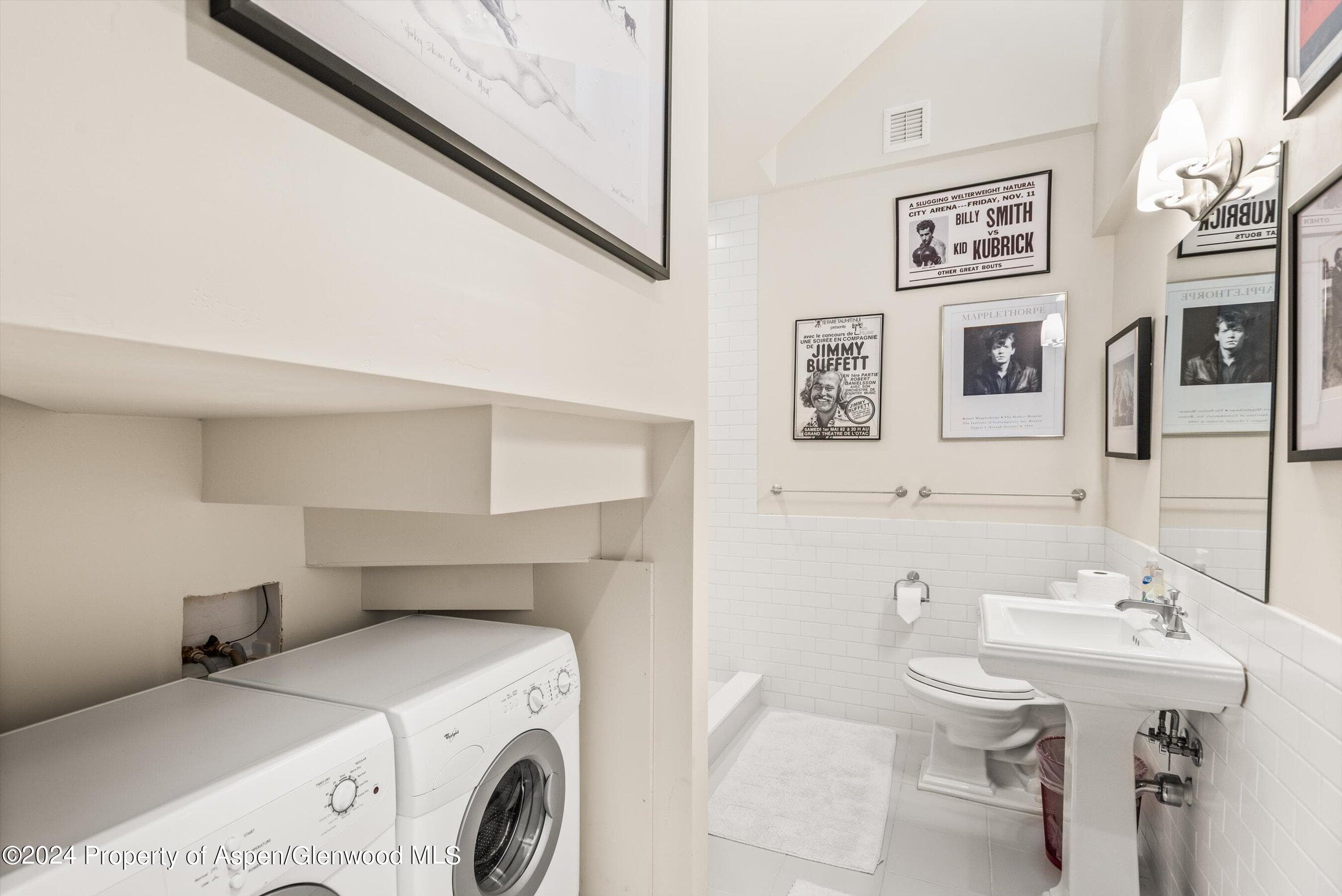 308 Park Avenue, Aspen, CO 81611 - Photo 14