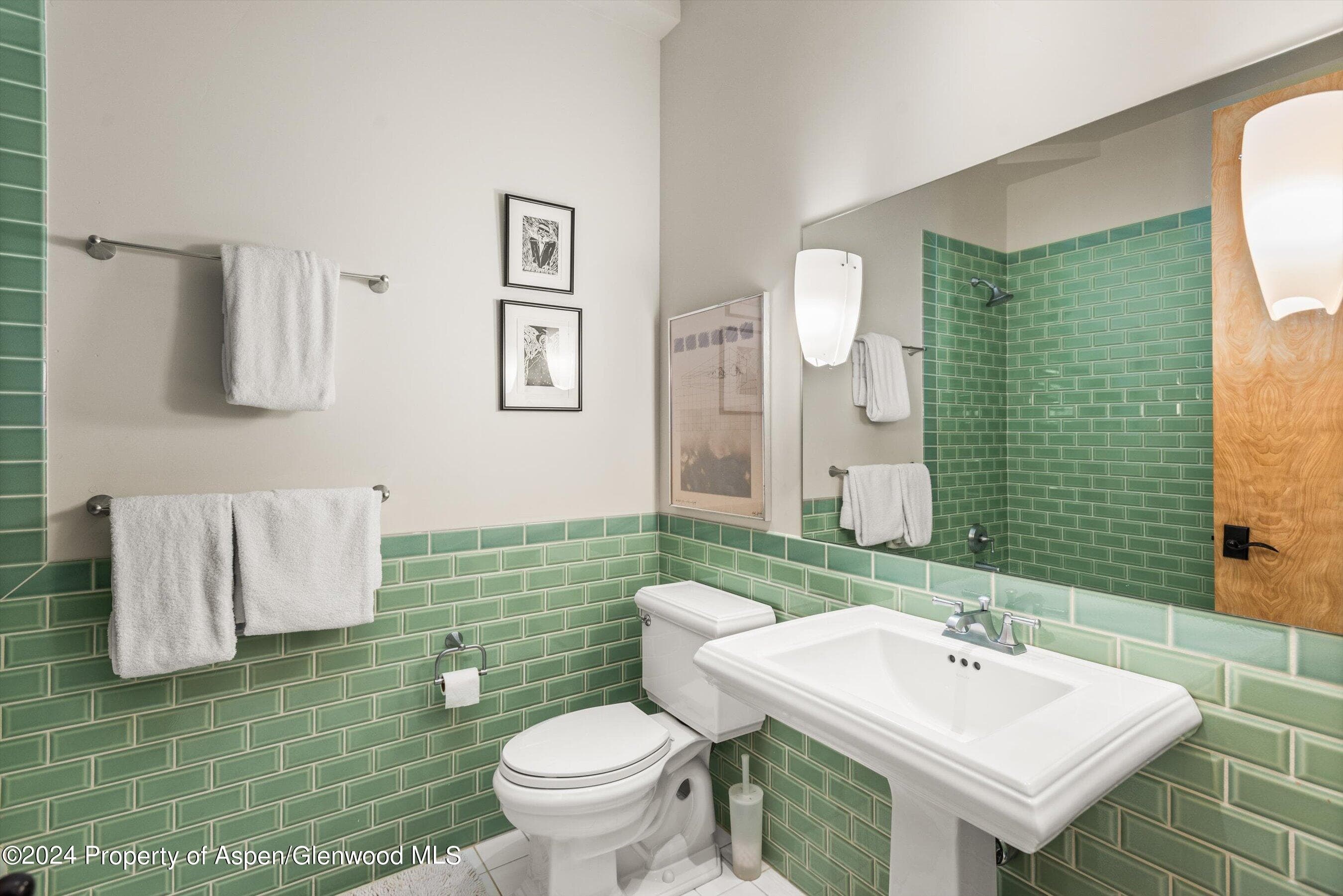 308 Park Avenue, Aspen, CO 81611 - Photo 15