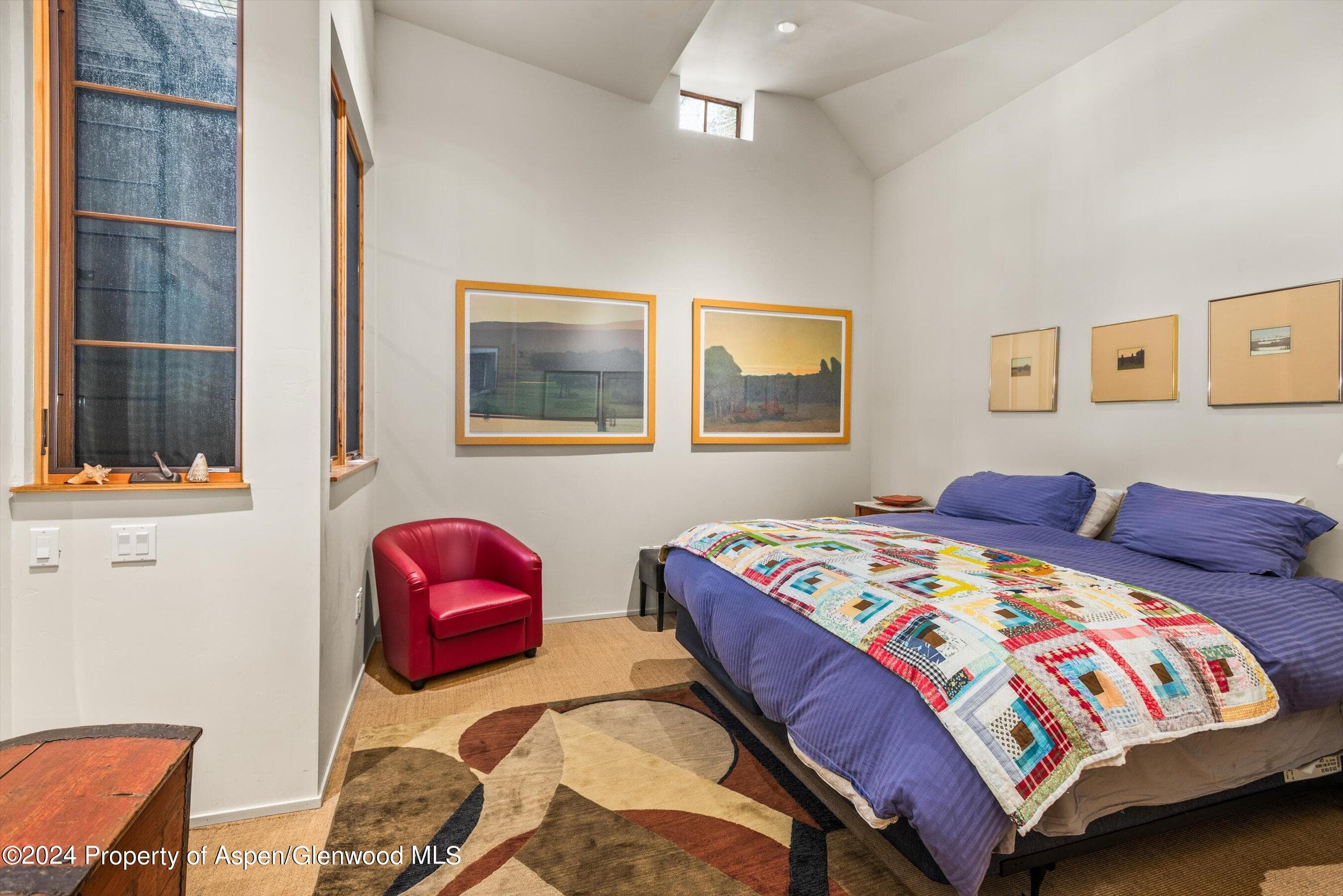 308 Park Avenue, Aspen, CO 81611 - Photo 18