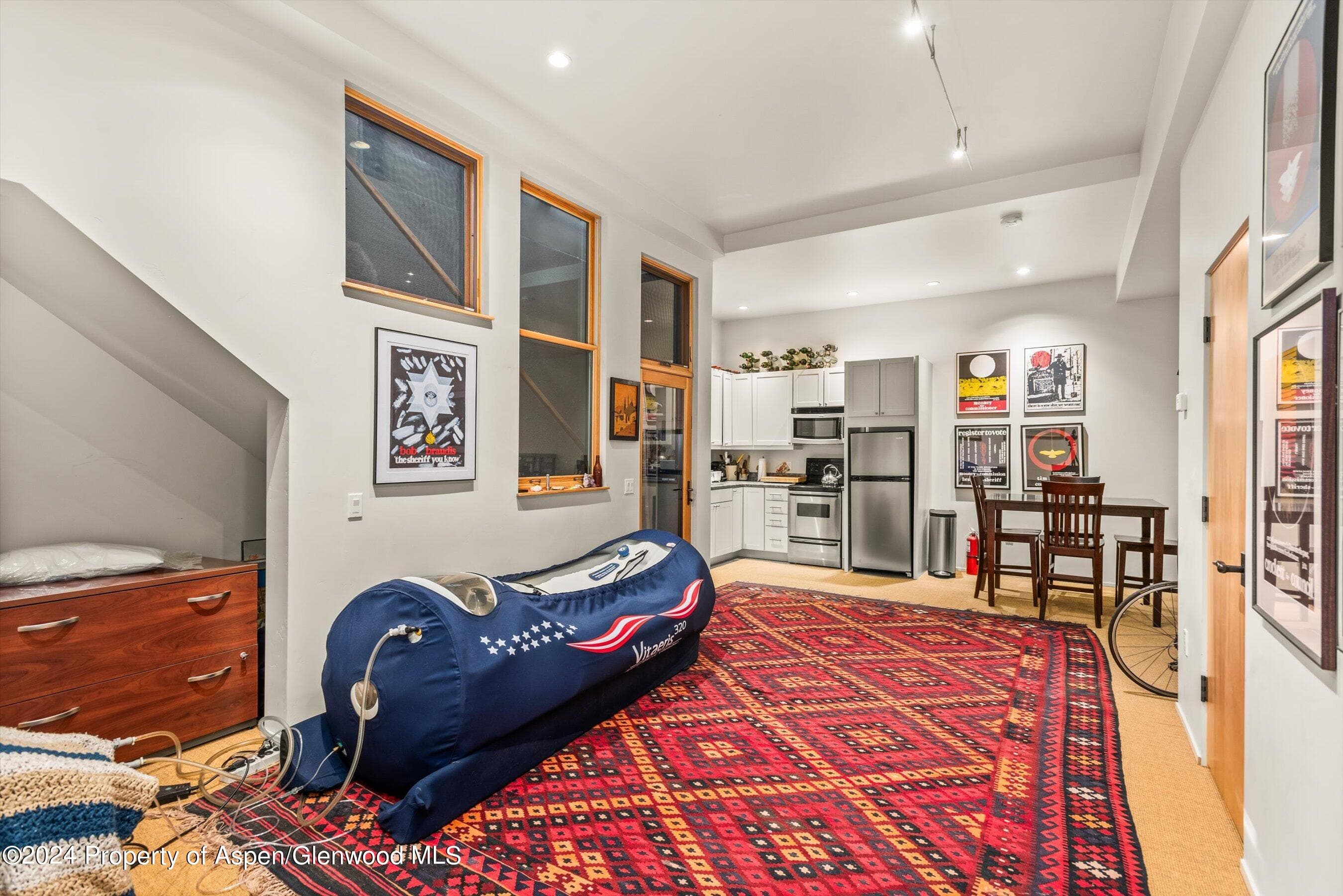 308 Park Avenue, Aspen, CO 81611 - Photo 19