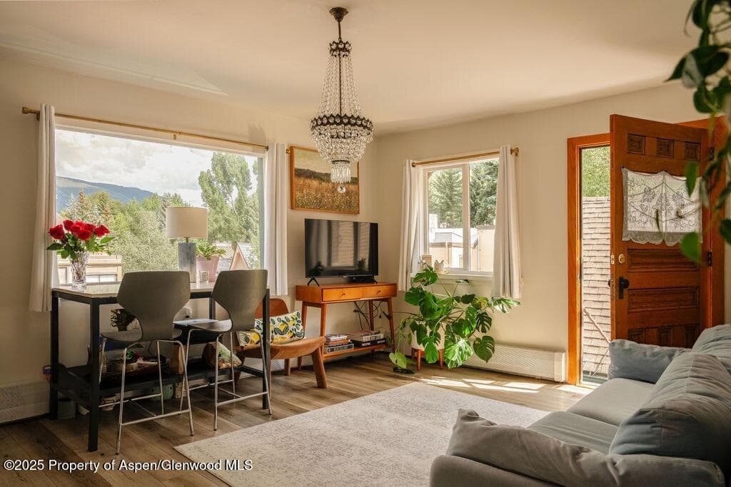333 W Main Street B2, Aspen, CO 81611 - Photo 2