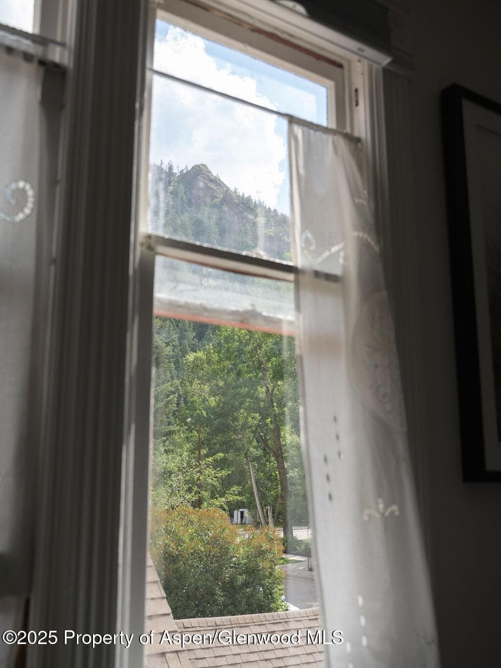 333 W Main Street B2, Aspen, CO 81611 - Photo 20