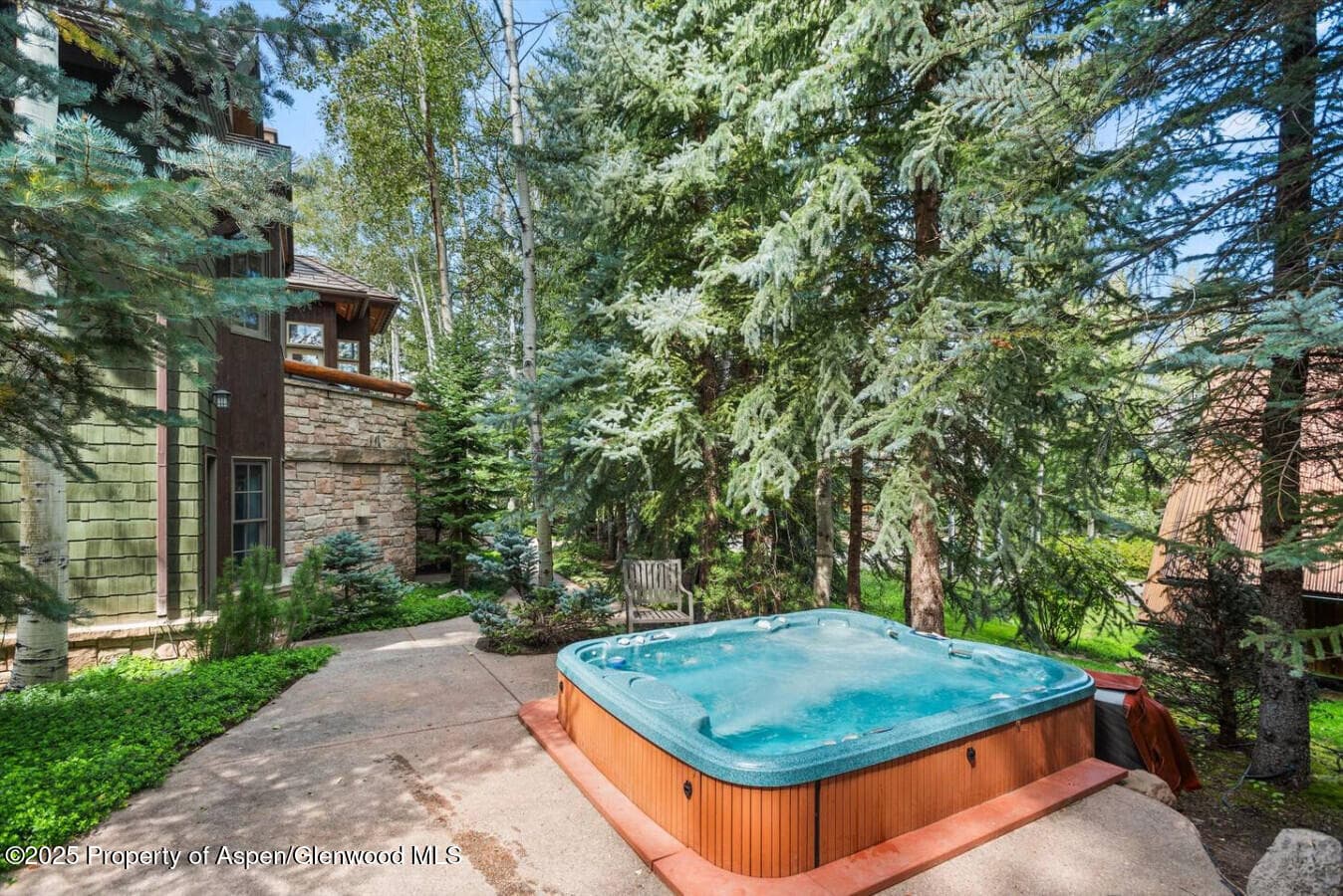 27 Timber Ridge Lane Lane, Snowmass Village, CO 81615 - Photo 9