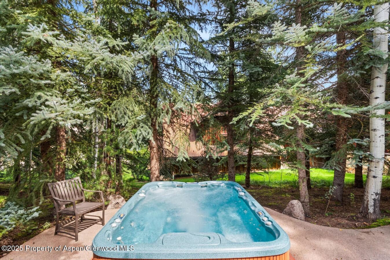 27 Timber Ridge Lane Lane, Snowmass Village, CO 81615 - Photo 10