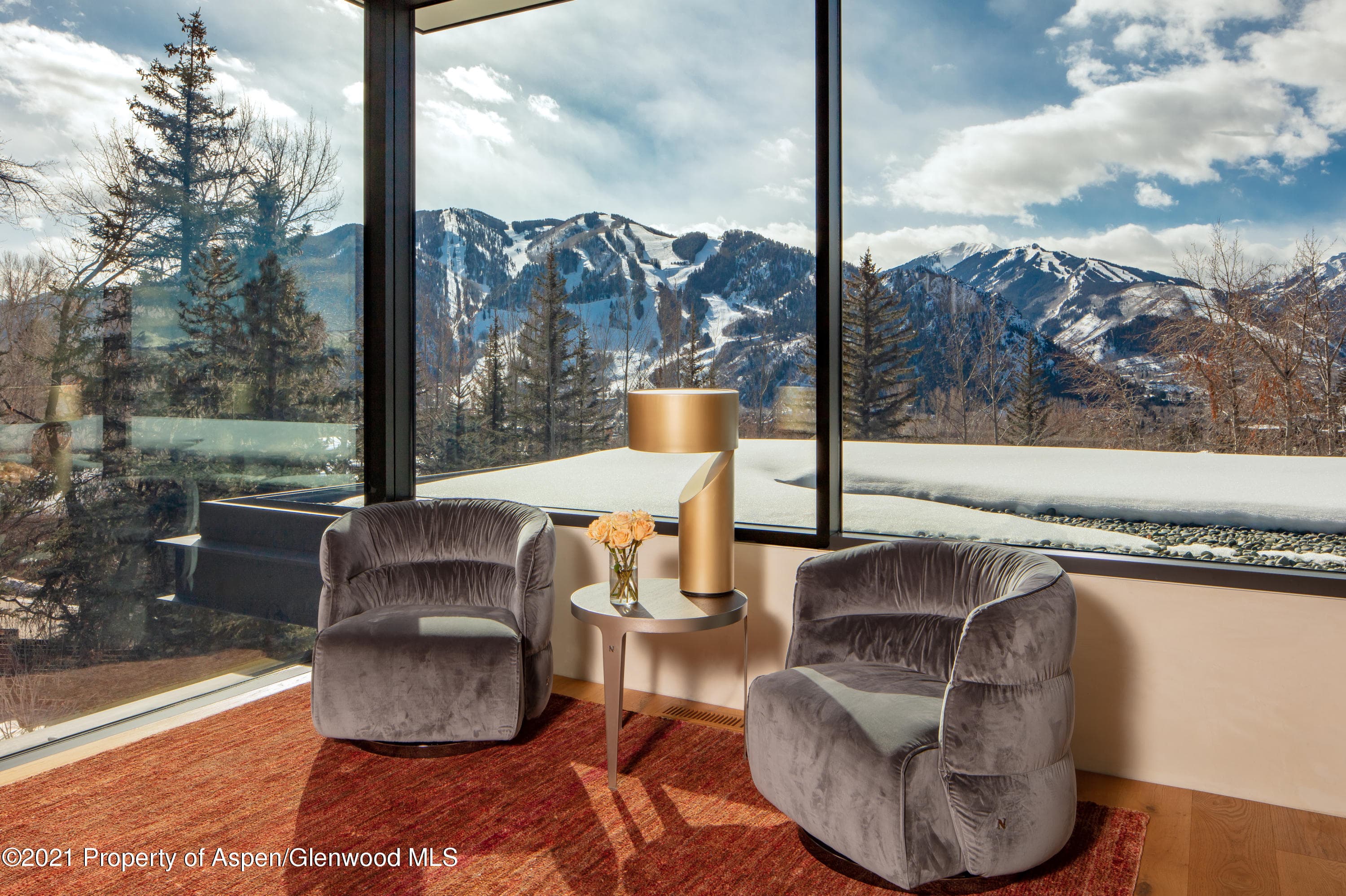 979 Red Mountain Road, Aspen, CO 81611 - Photo 12