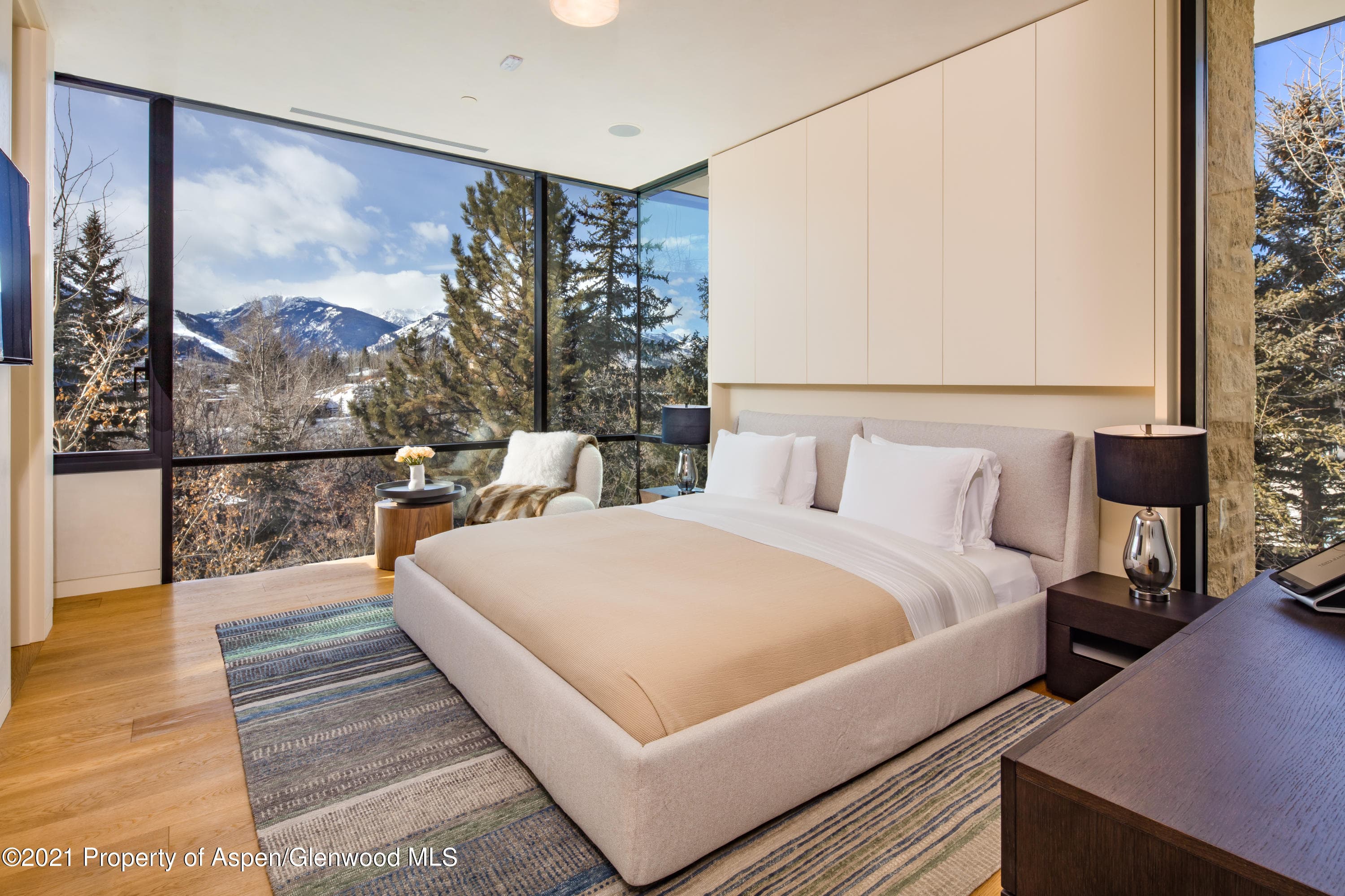 979 Red Mountain Road, Aspen, CO 81611 - Photo 13