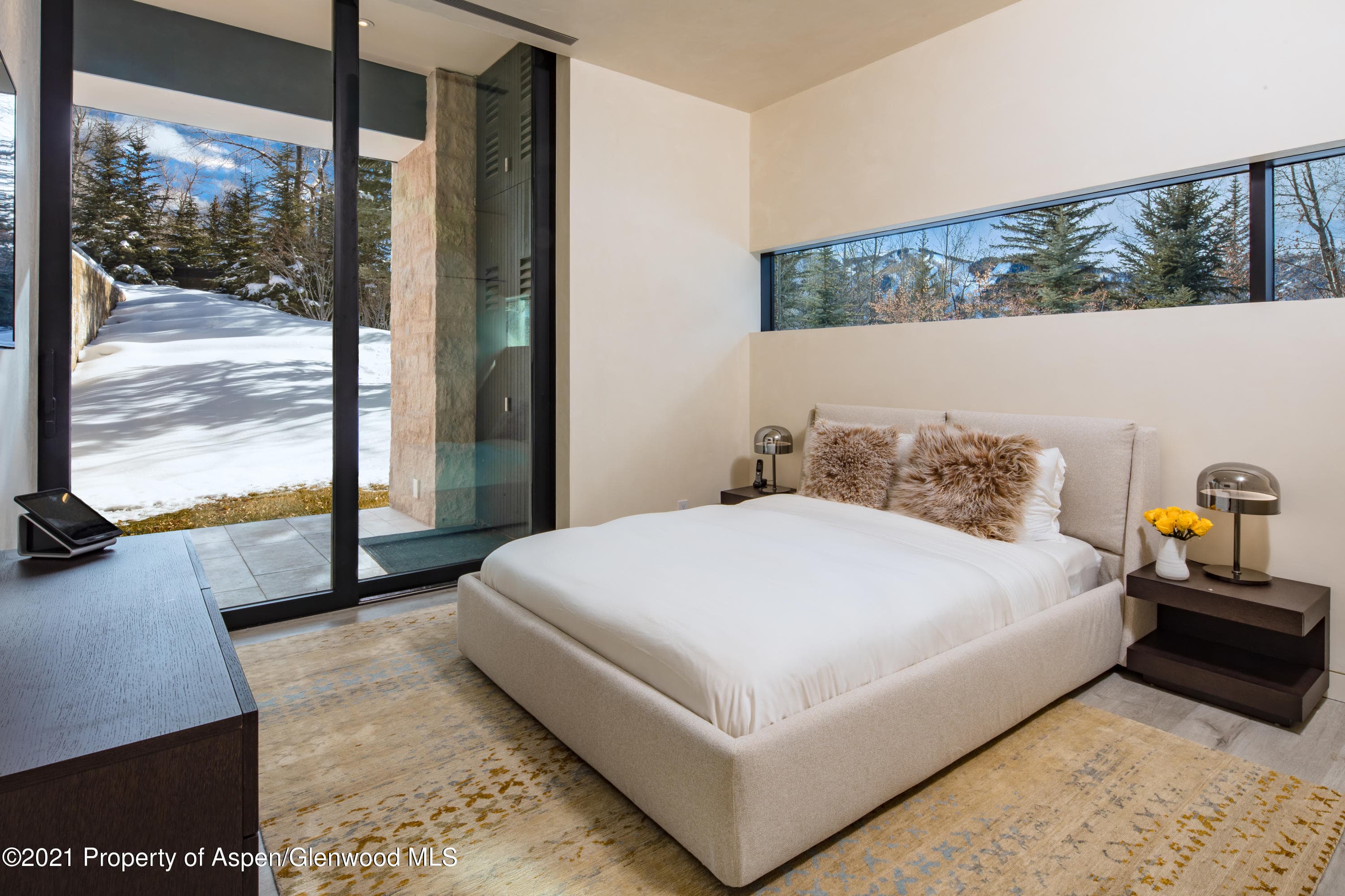 979 Red Mountain Road, Aspen, CO 81611 - Photo 14