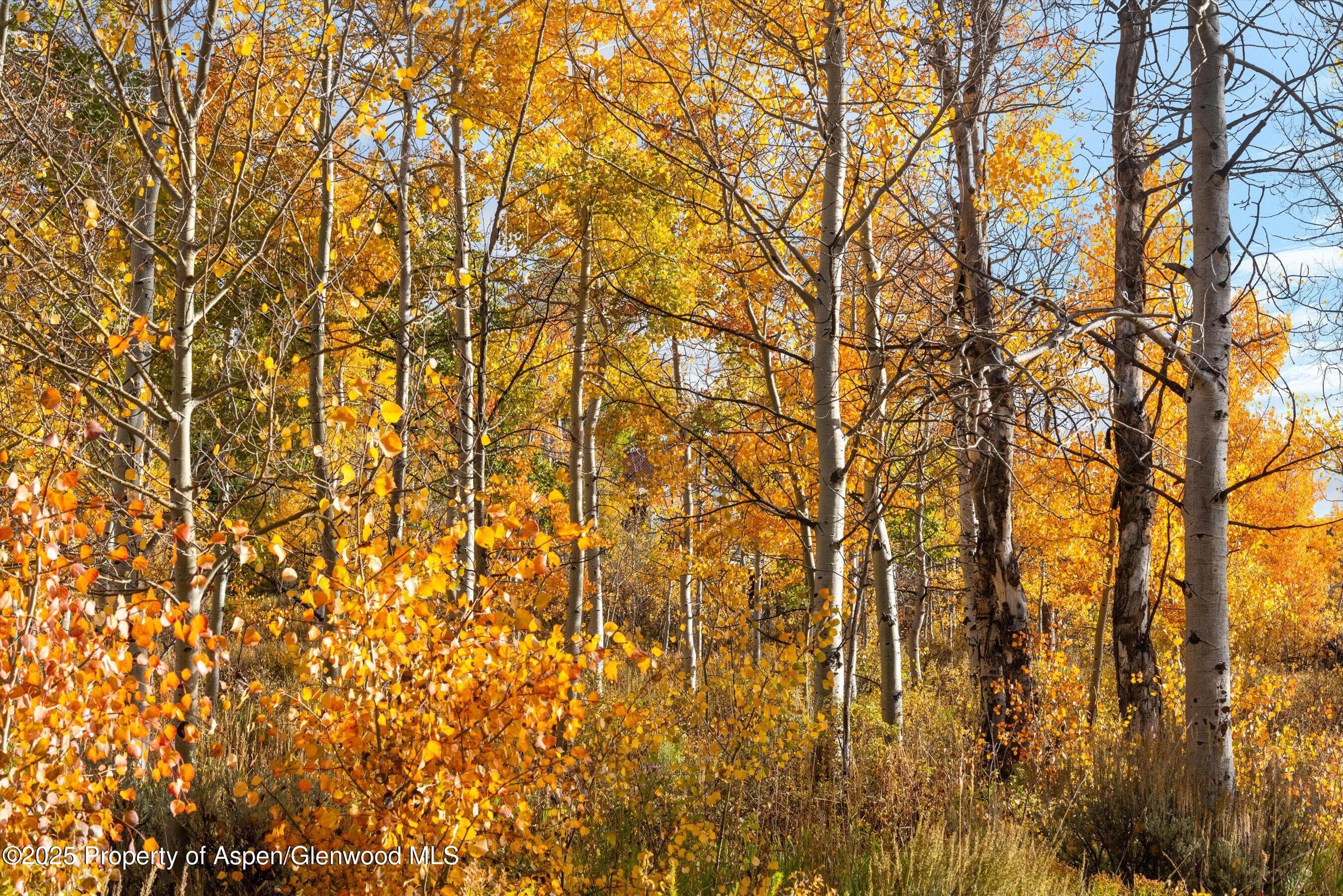 TBD Spinnaker Lane, Basalt, CO 81621 - Photo 8