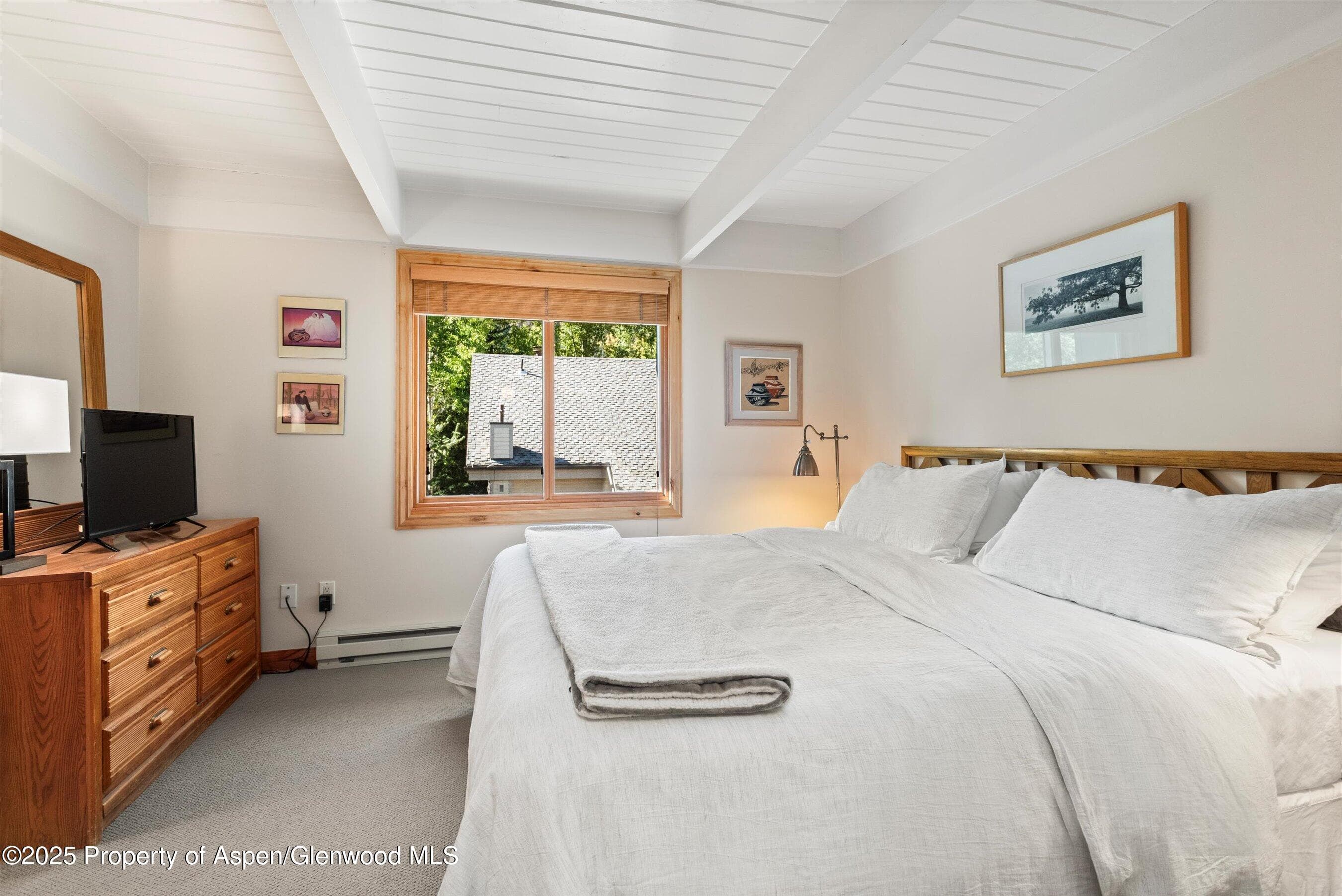901 E Hyman Avenue 13, Aspen, CO 81611 - Photo 6