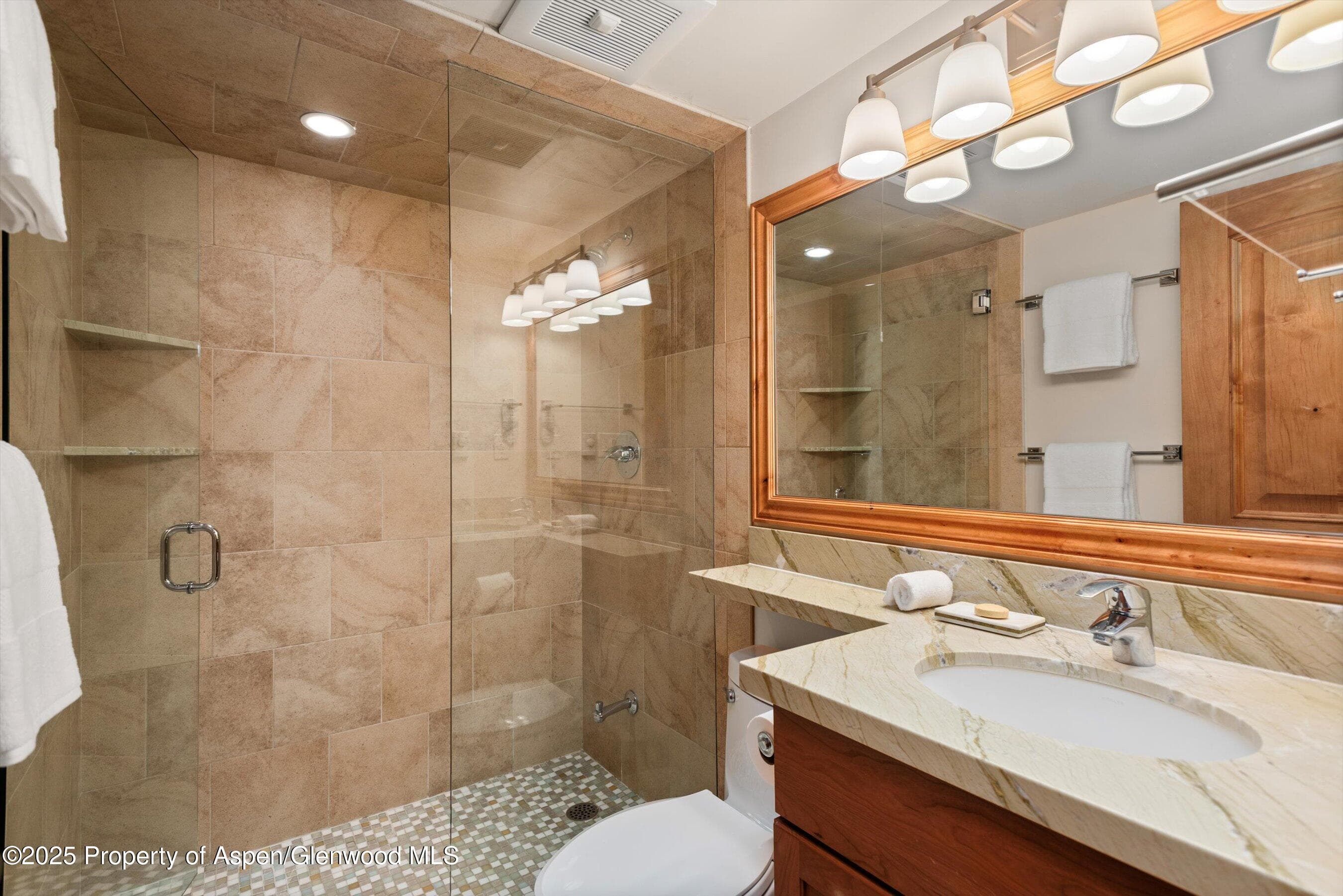 901 E Hyman Avenue 13, Aspen, CO 81611 - Photo 7