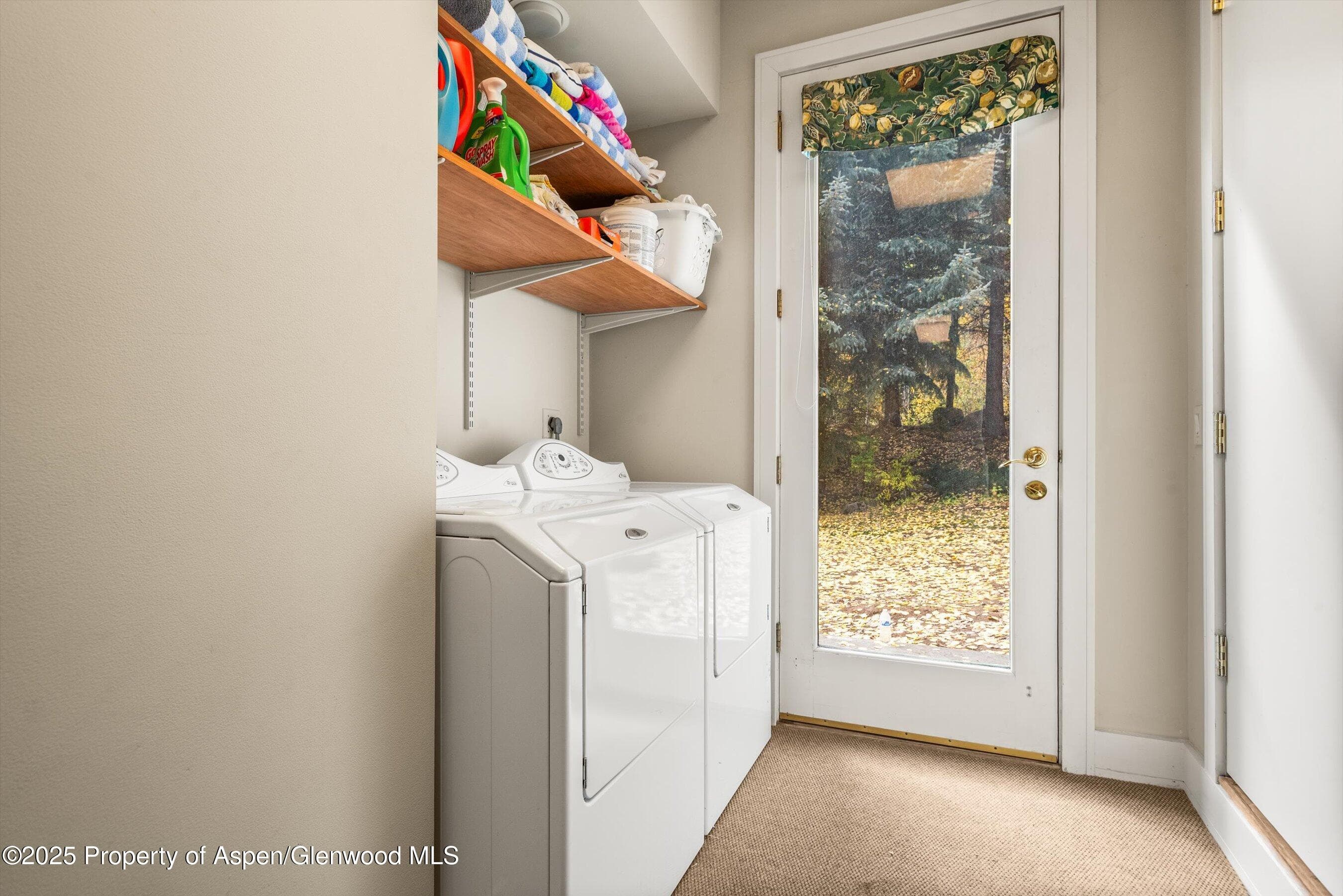 431 W Hopkins Avenue, Aspen, CO 81611 - Photo 45