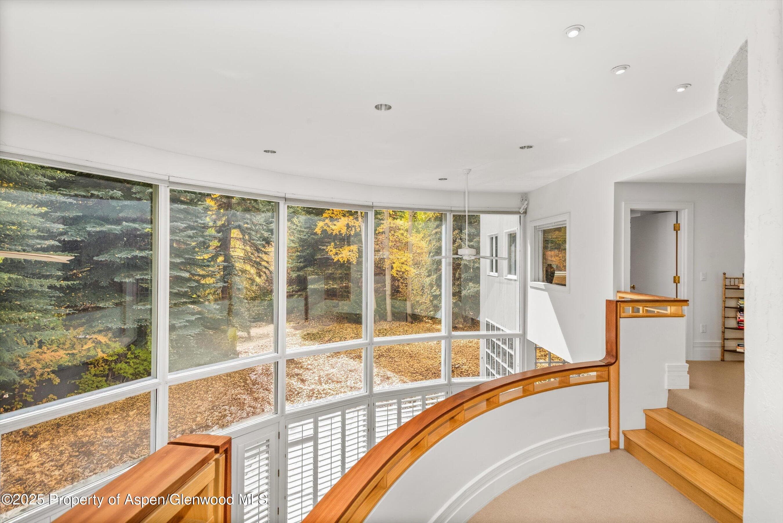 431 W Hopkins Avenue, Aspen, CO 81611 - Photo 21