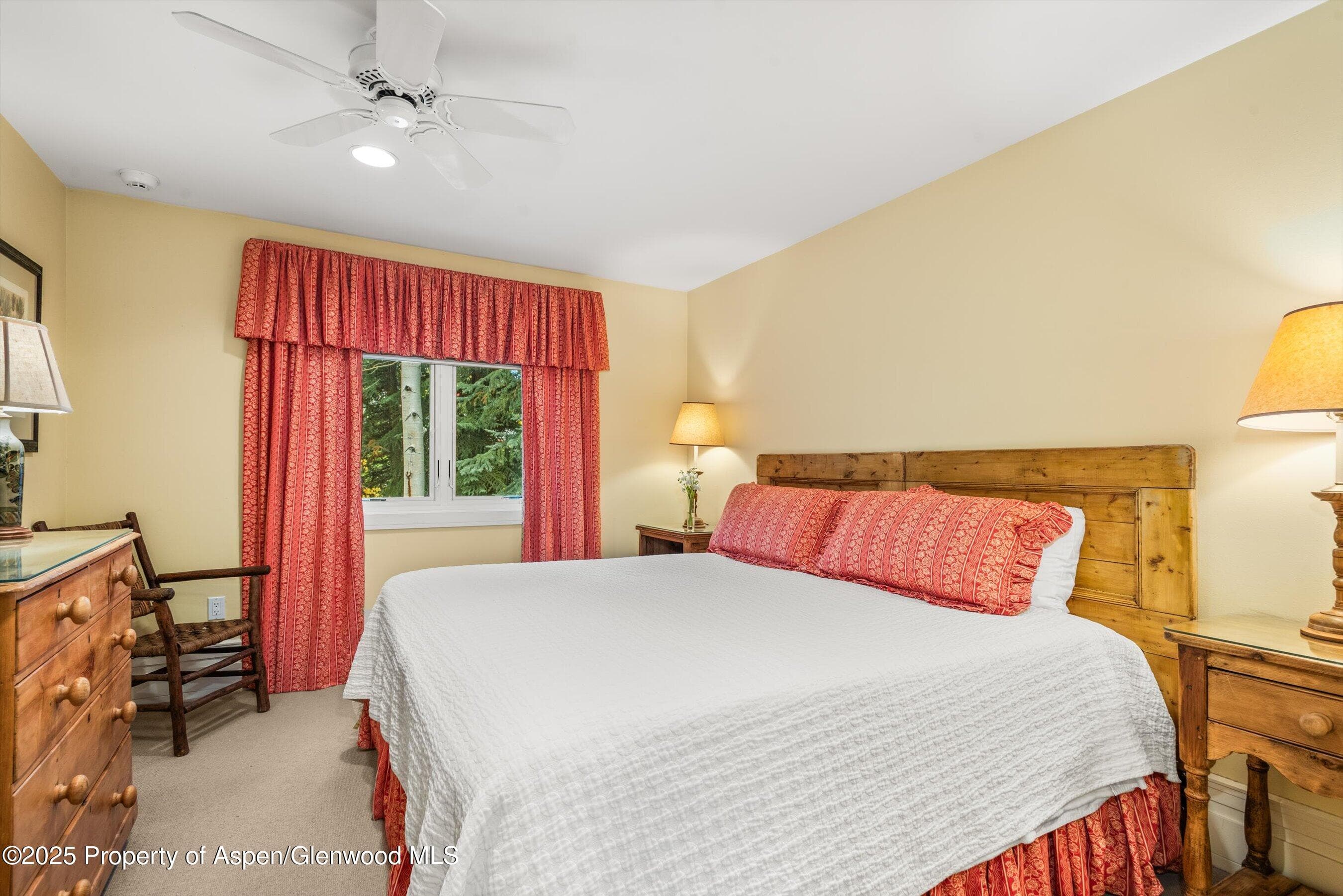 431 W Hopkins Avenue, Aspen, CO 81611 - Photo 38