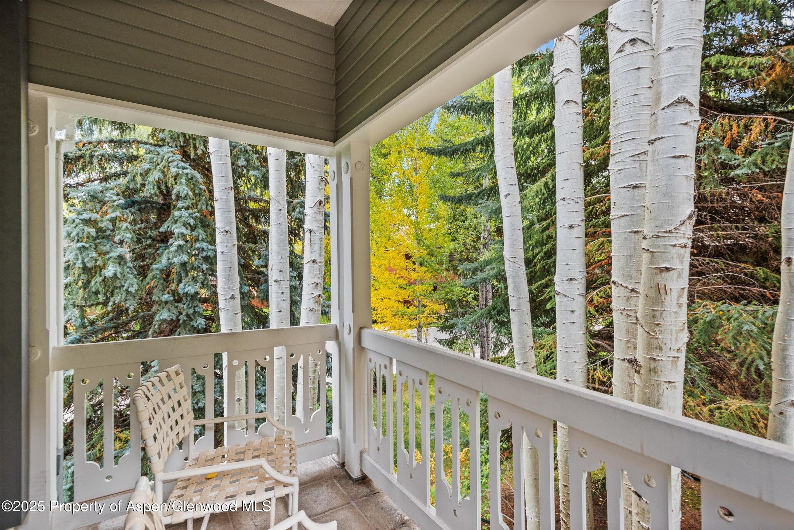 431 W Hopkins Avenue, Aspen, CO 81611 - Photo 26