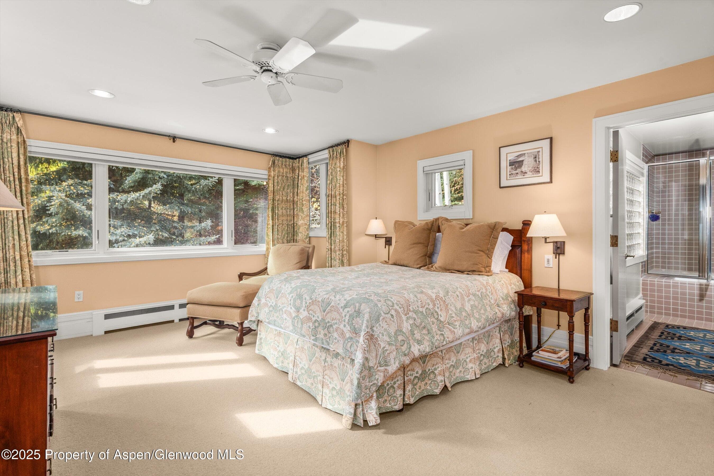 431 W Hopkins Avenue, Aspen, CO 81611 - Photo 29
