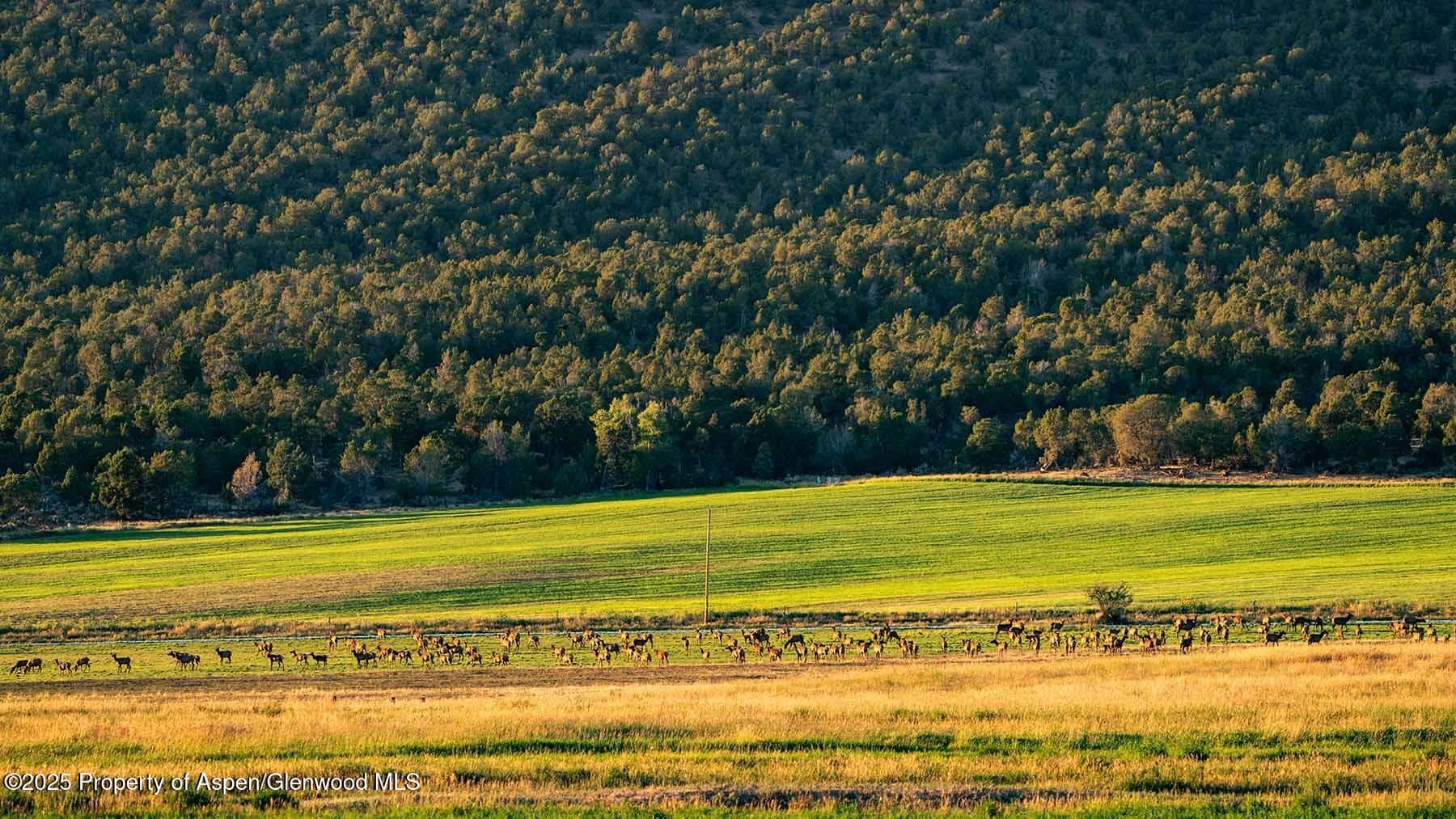 10676 Bostwick Road, Montrose, CO 81401 - Photo 33