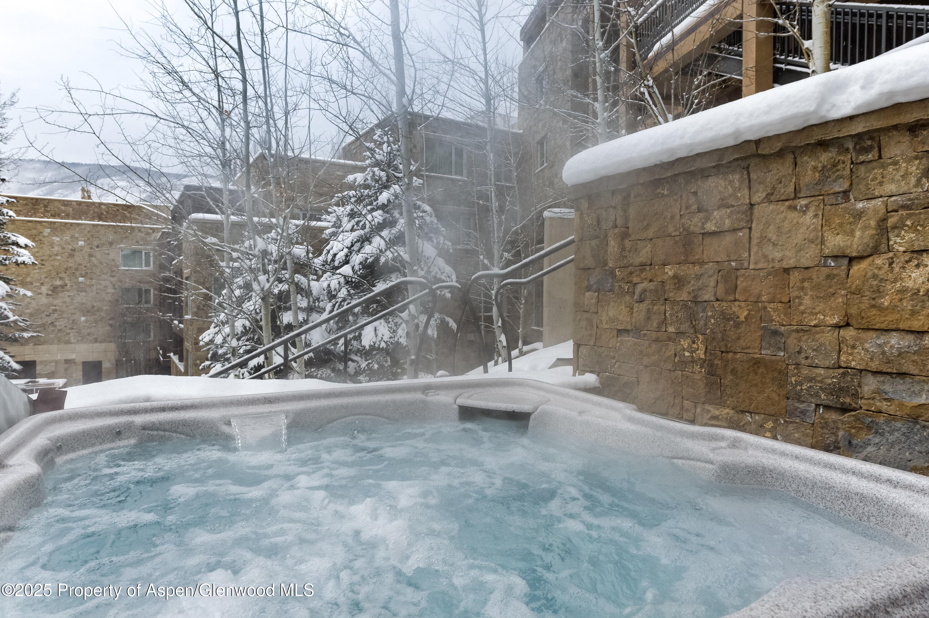 704 S Galena Street, Aspen, CO 81611 - Photo 16
