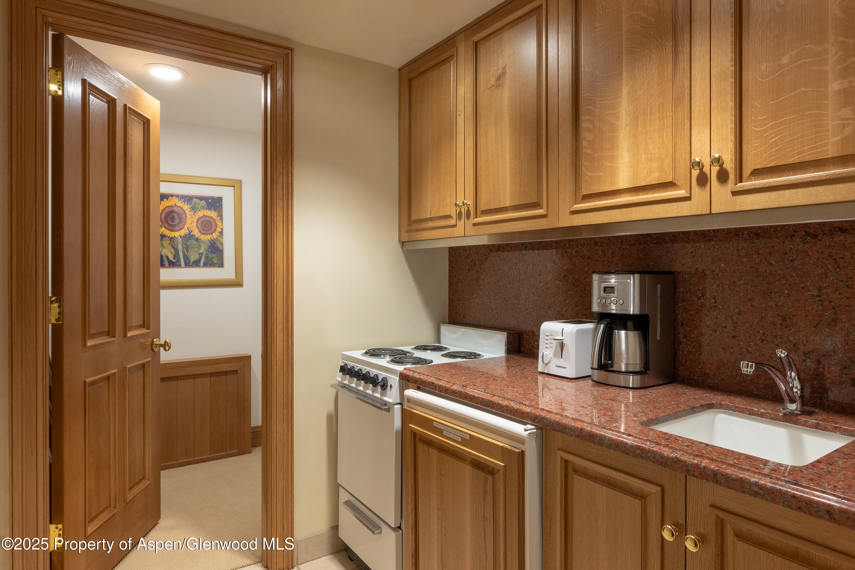 316 West End Street, Aspen, CO 81611 - Photo 21