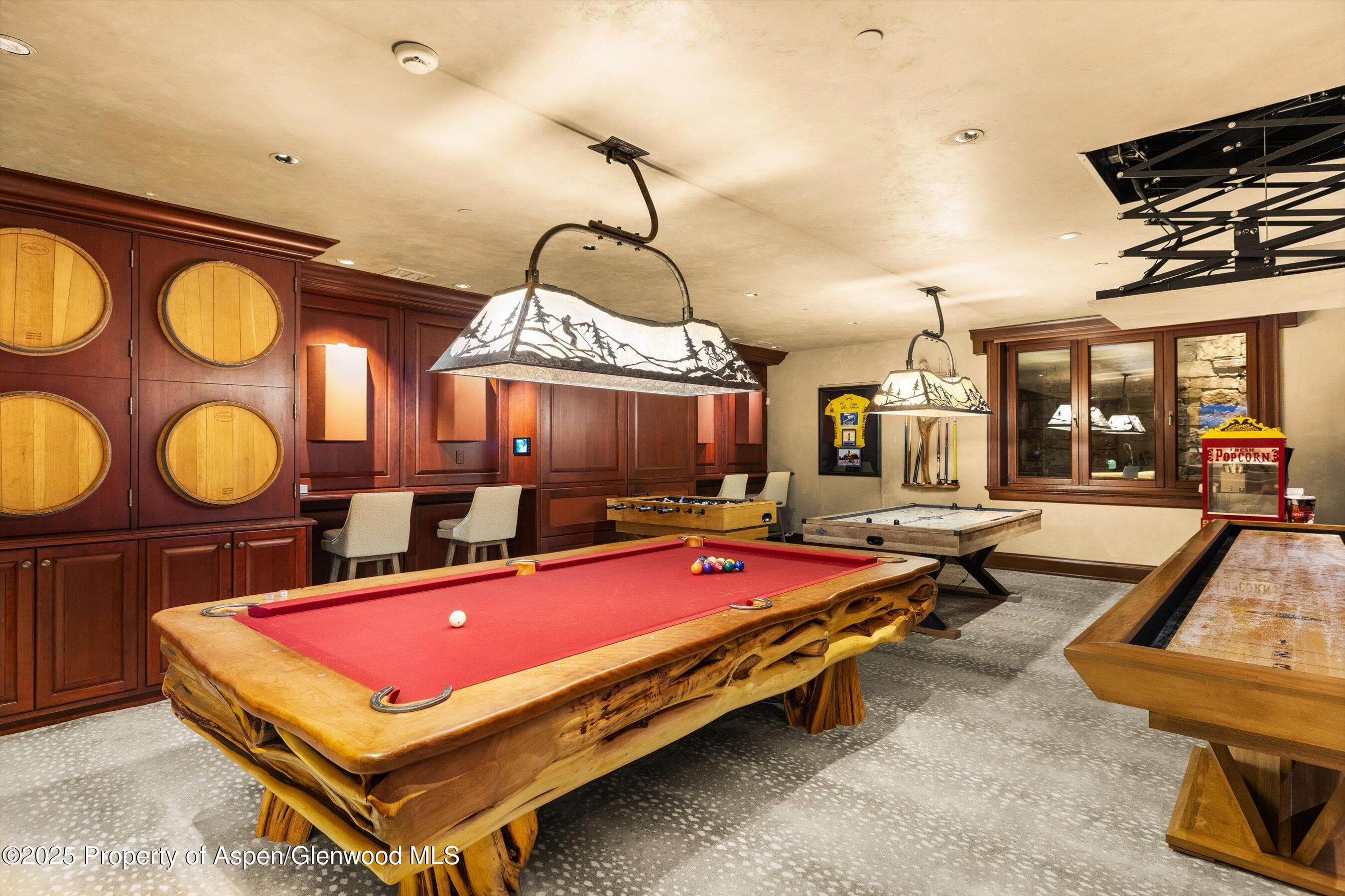 928 S Mill Street, Aspen, CO 81611 - Photo 20