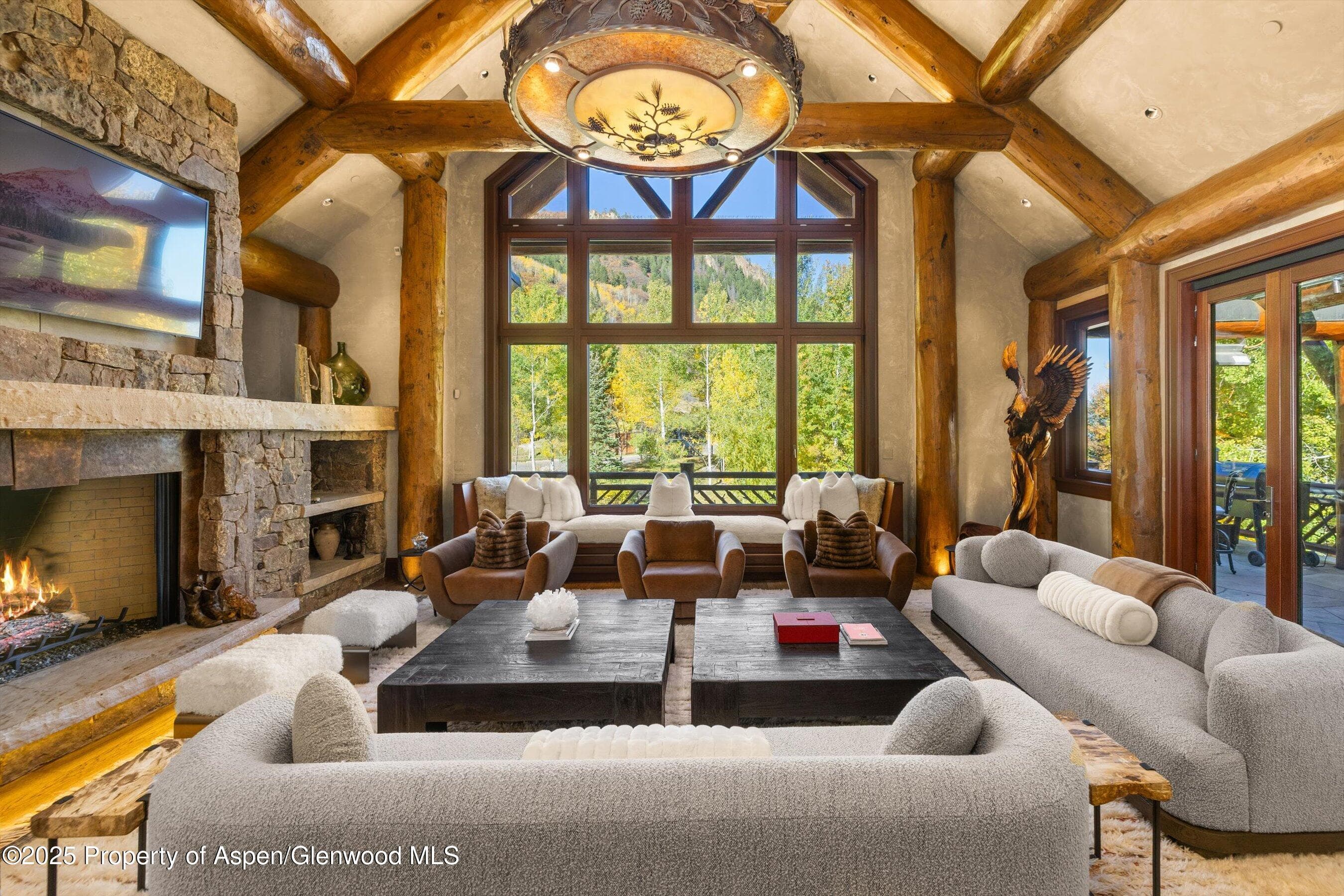 928 S Mill Street, Aspen, CO 81611 - Photo 5