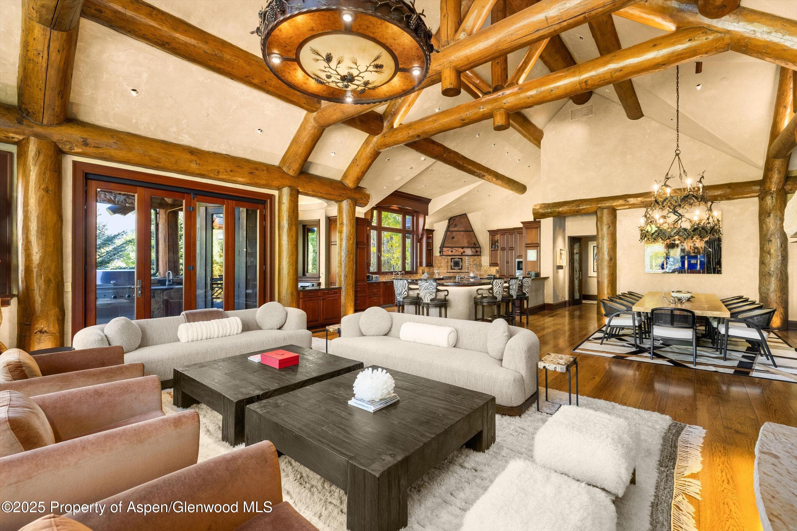 928 S Mill Street, Aspen, CO 81611 - Photo 6