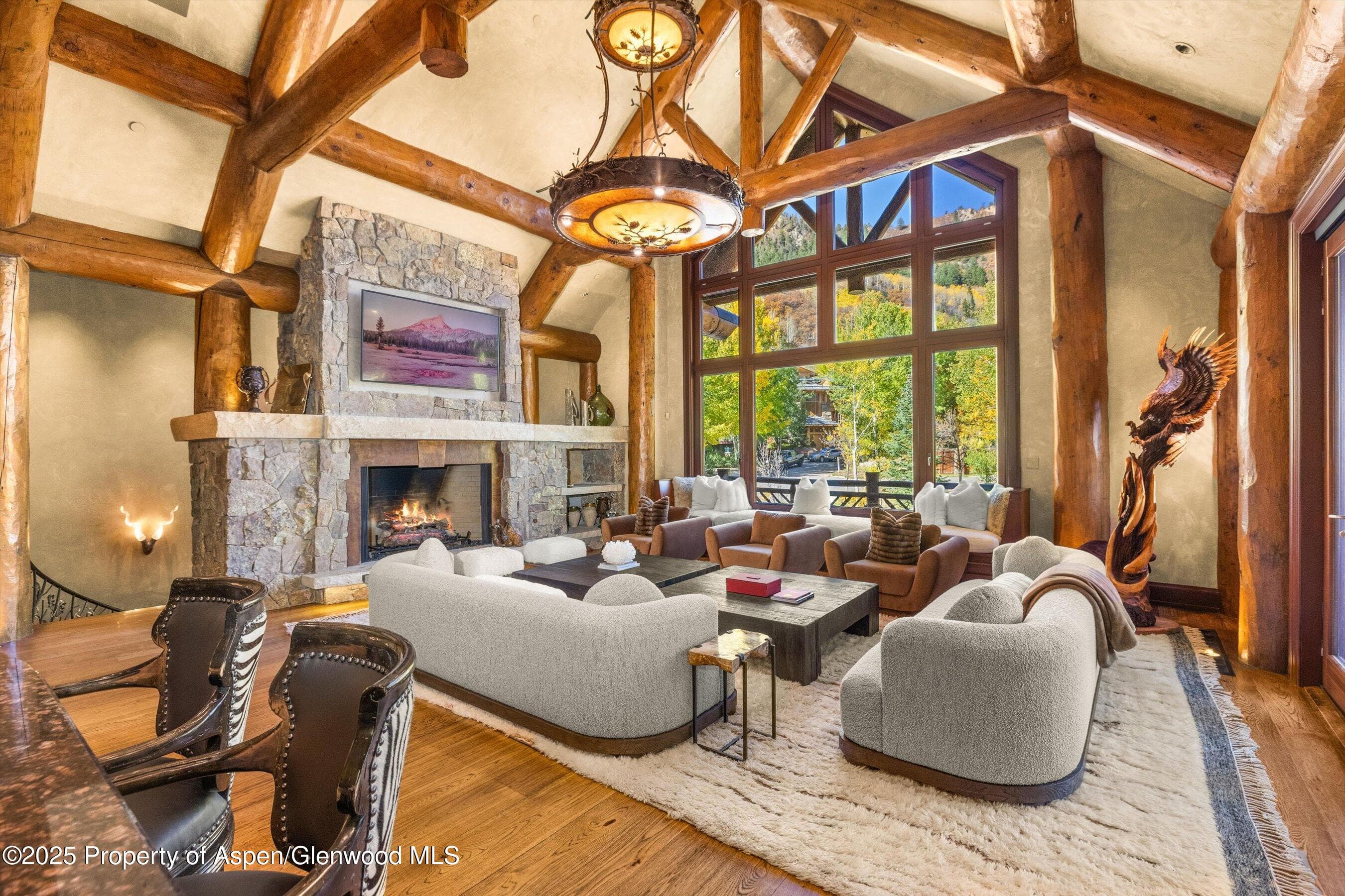 928 S Mill Street, Aspen, CO 81611 - Photo 9