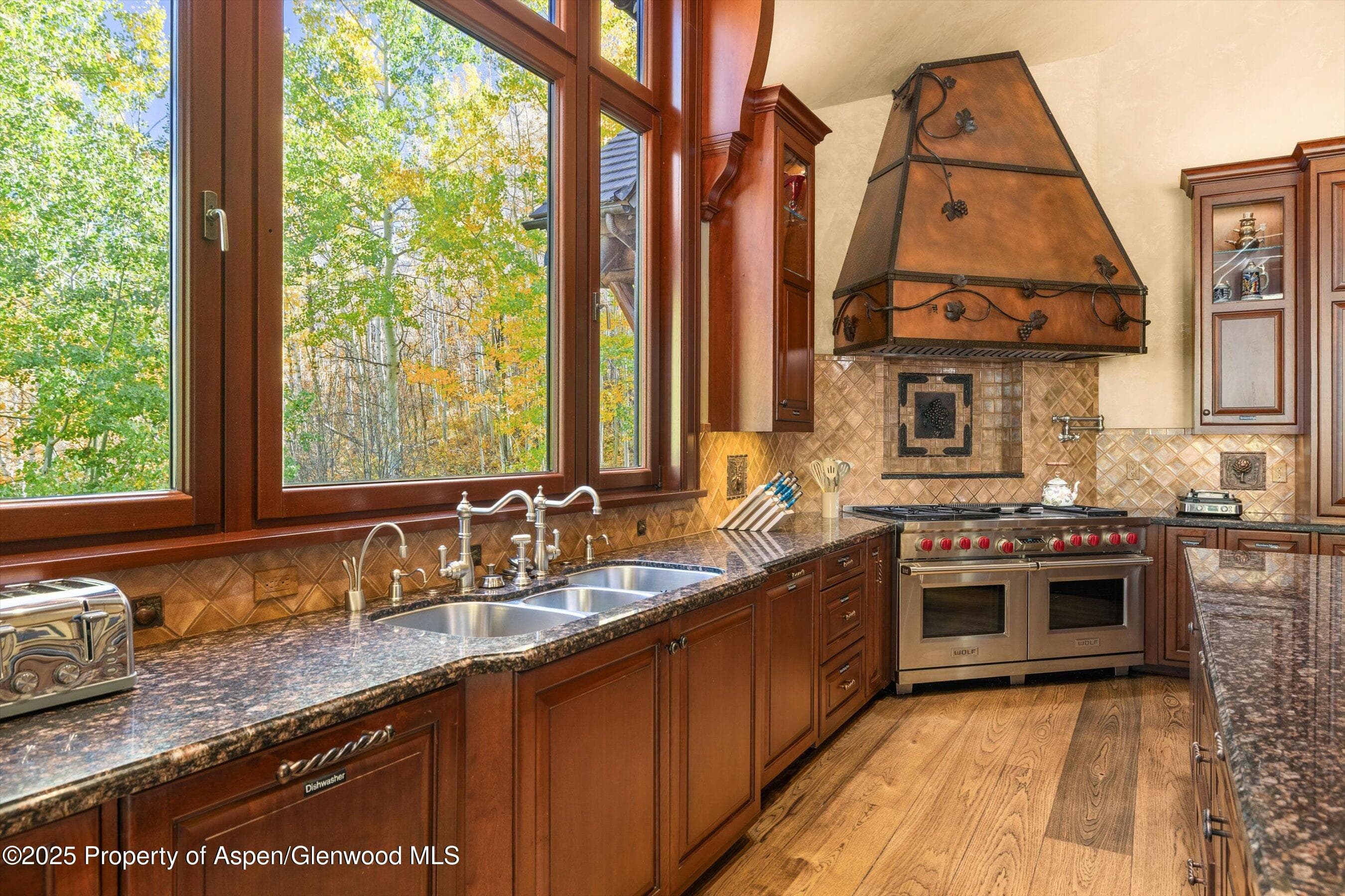 928 S Mill Street, Aspen, CO 81611 - Photo 16