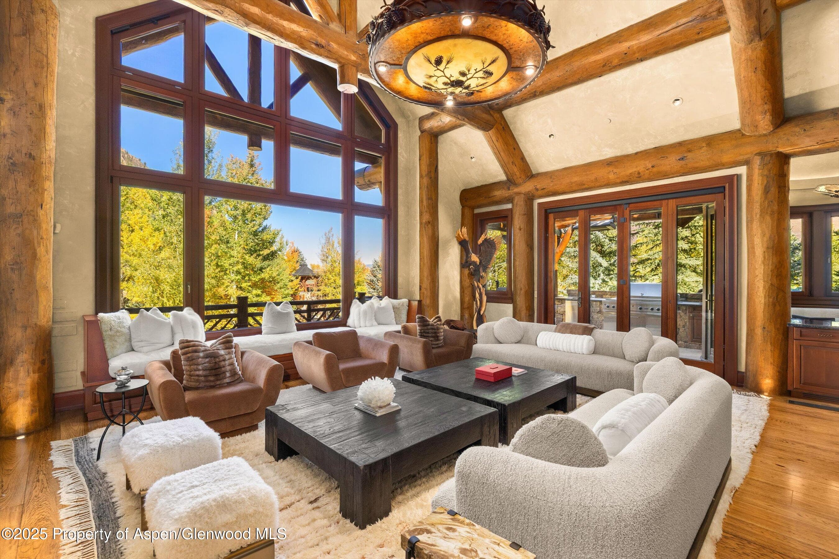 928 S Mill Street, Aspen, CO 81611 - Photo 8
