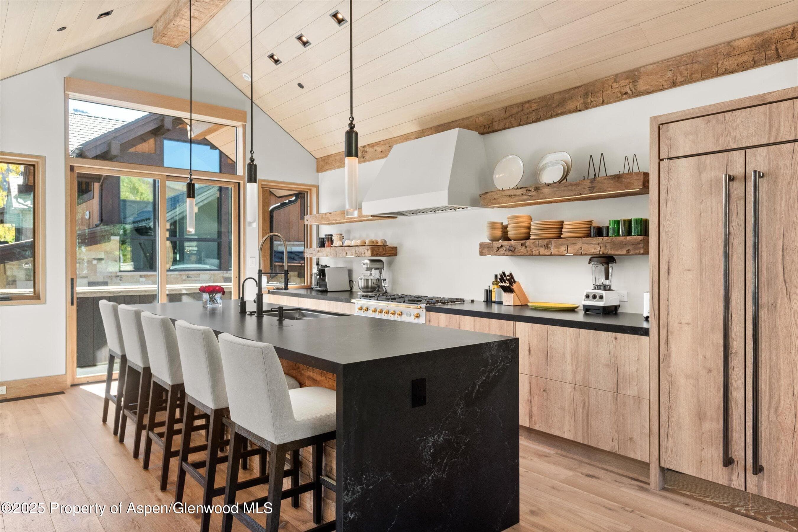 543 Walnut Street B, Aspen, CO 81611 - Photo 8