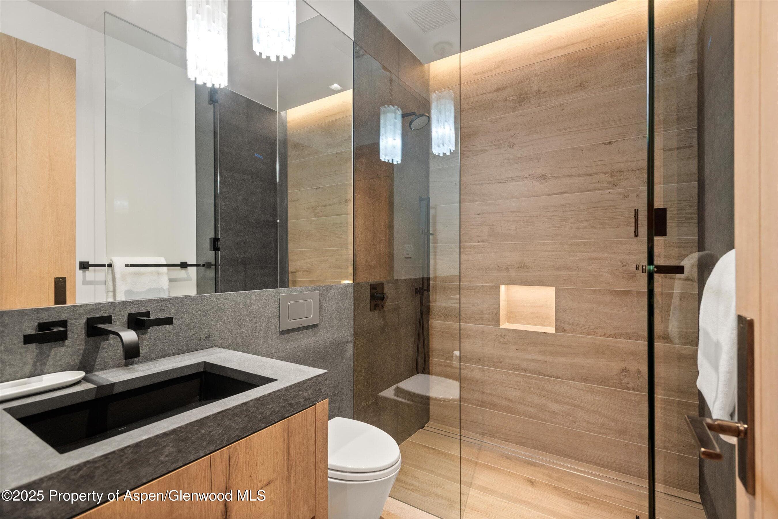 543 Walnut Street B, Aspen, CO 81611 - Photo 18
