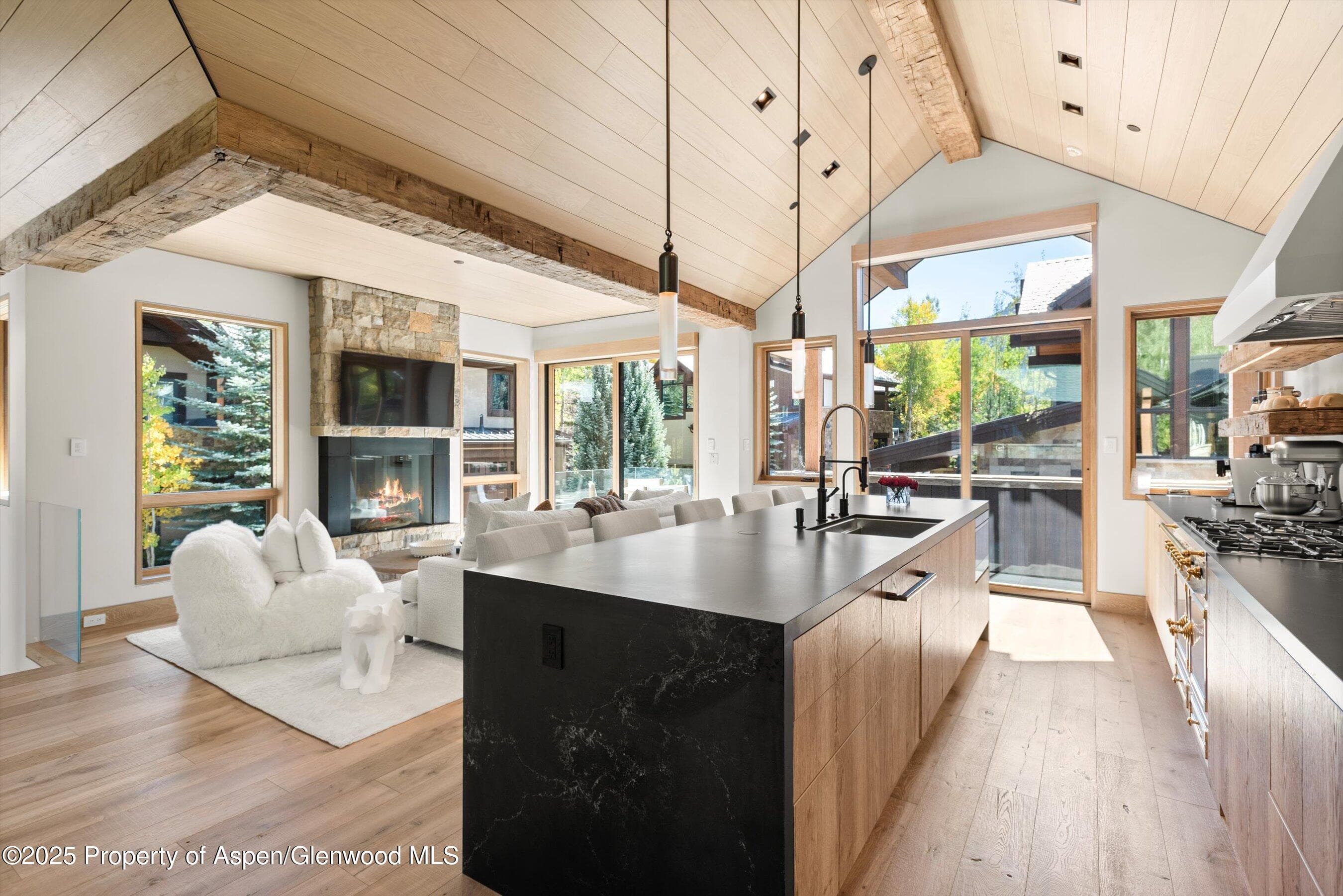 543 Walnut Street B, Aspen, CO 81611 - Photo 2