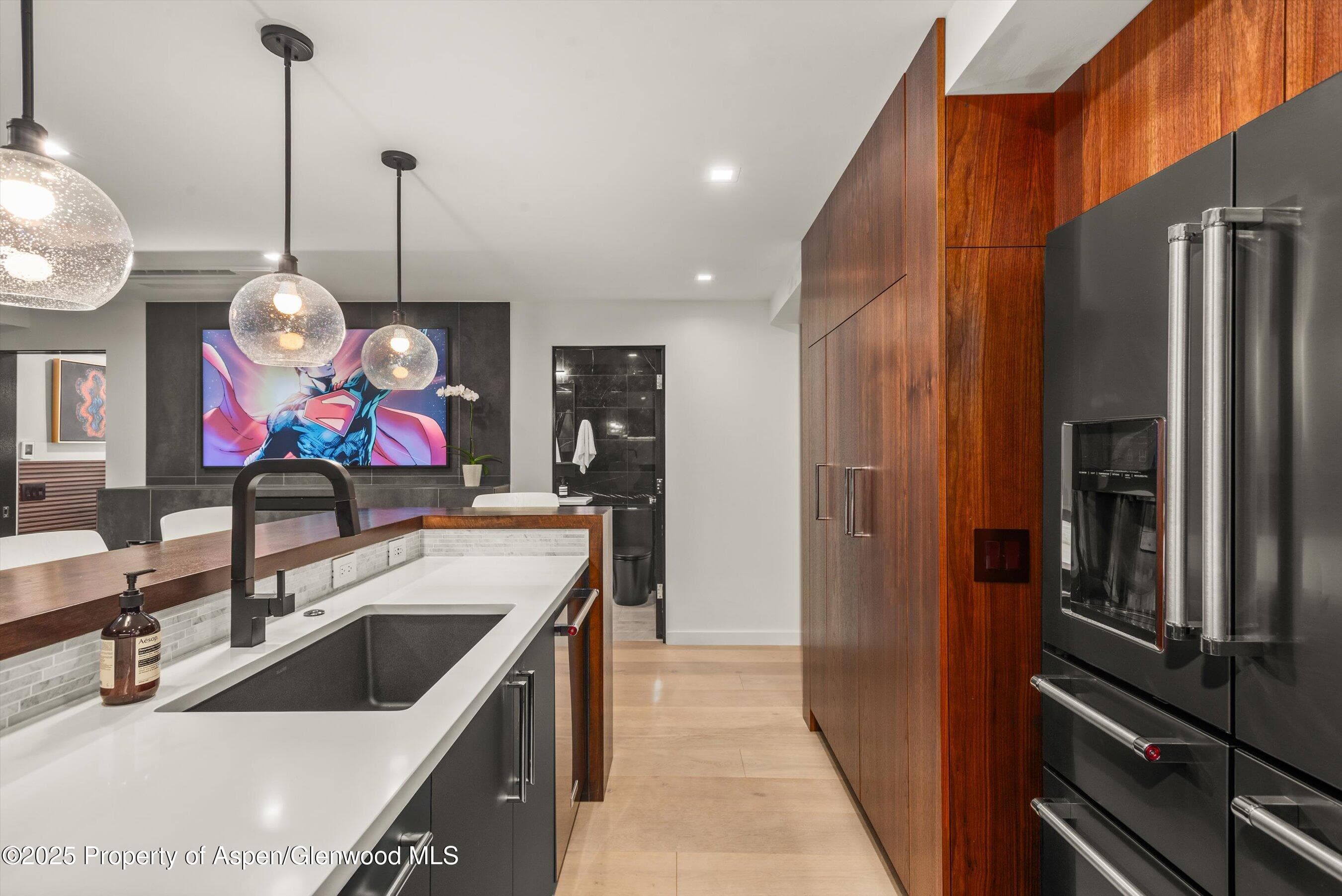 725 E Durant Avenue 22, Aspen, CO 81611 - Photo 7